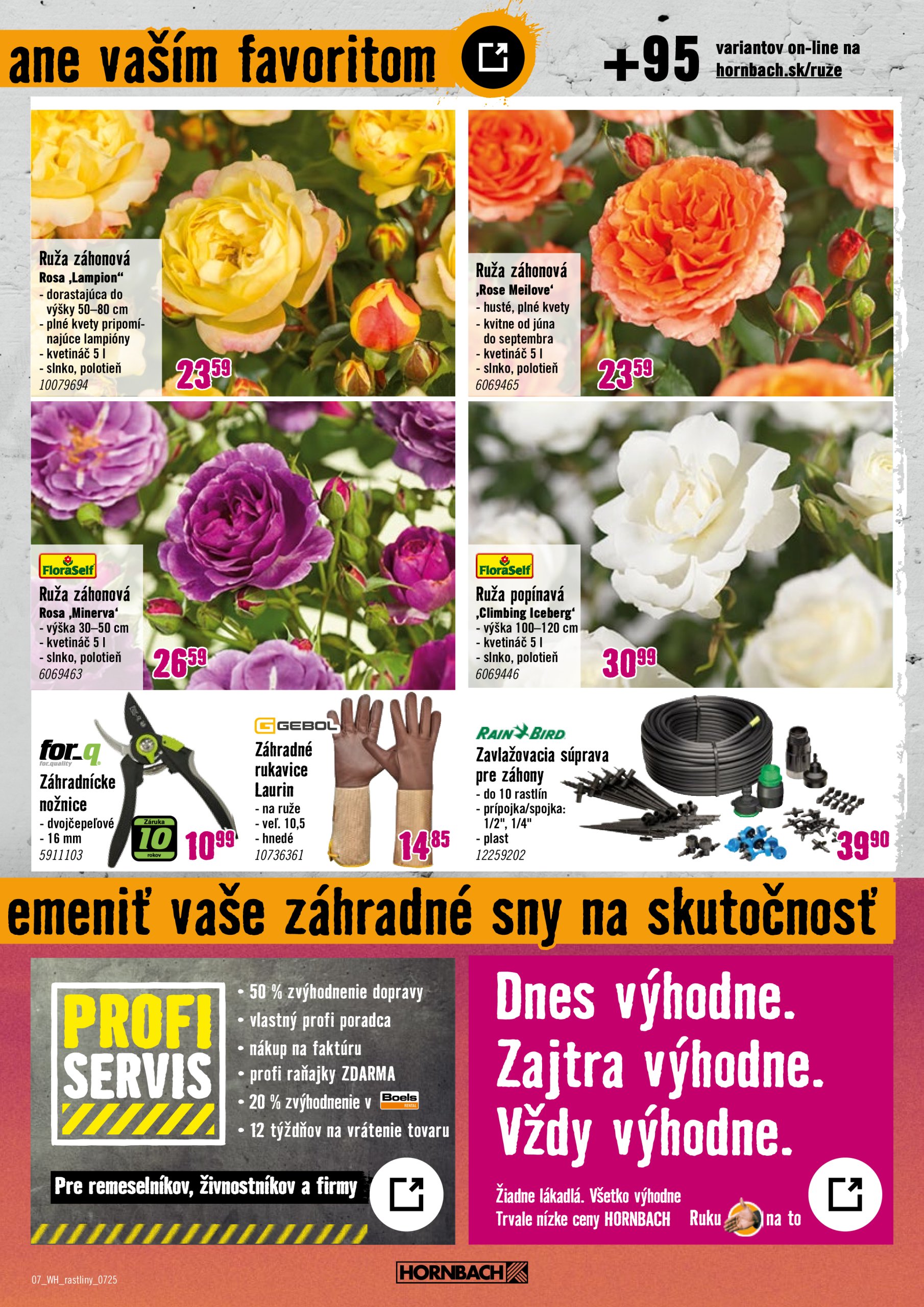hornbach - Leták HORNBACH - Rastliny lákajúce hmyz platný od 09.07. do 23.07. - page: 7