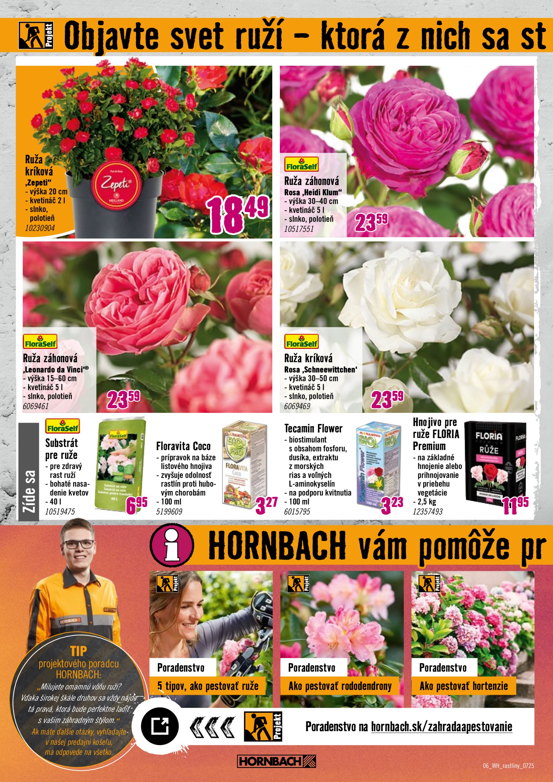 hornbach - Leták HORNBACH - Rastliny lákajúce hmyz platný od 09.07. do 23.07. - page: 6