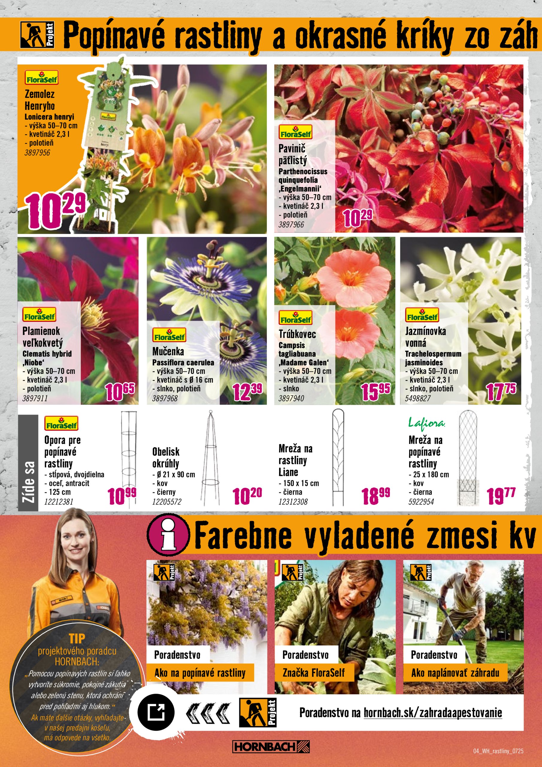 hornbach - Leták HORNBACH - Rastliny lákajúce hmyz platný od 09.07. do 23.07. - page: 4