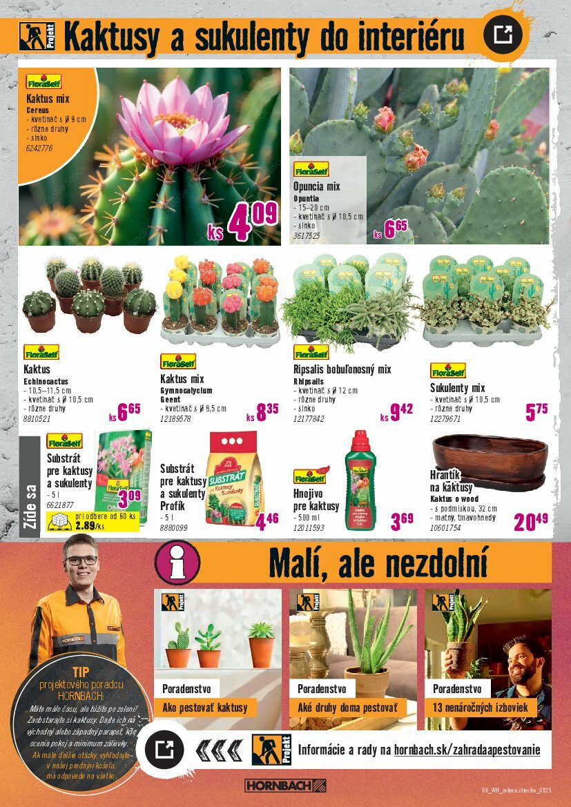 hornbach - Leták HORNBACH - Zelená strecha platný od 06.08. do 20.08. - page: 6