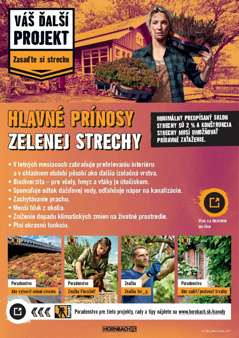 hornbach - Leták HORNBACH - Zelená strecha platný od 06.08. do 20.08. - page: 2