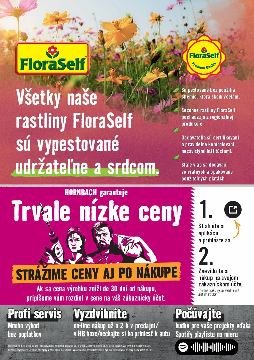 hornbach - Leták HORNBACH - Zelená strecha platný od 06.08. do 20.08. - page: 8