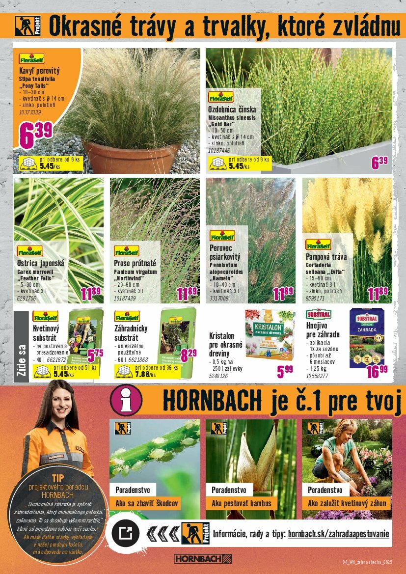 hornbach - Leták HORNBACH - Zelená strecha platný od 06.08. do 20.08. - page: 4