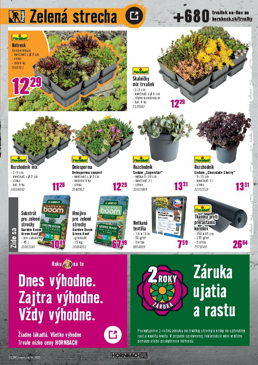 hornbach - Leták HORNBACH - Zelená strecha platný od 06.08. do 20.08. - page: 3