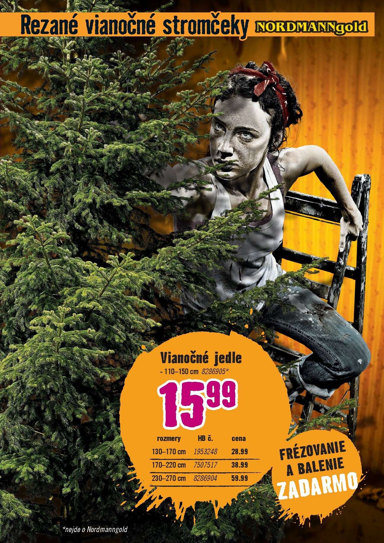 hornbach - Leták HORNBACH - Vôňa Vianoc platný od 26.11. do 10.12. - page: 3