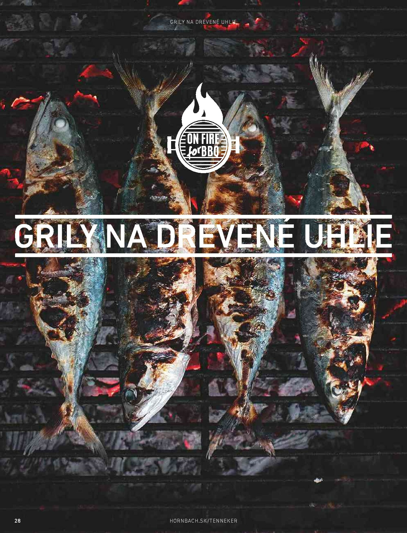 hornbach - Leták HORNBACH - TENNEKER - magazín o grilovaní platný od 01.11. do 31.08. - page: 28