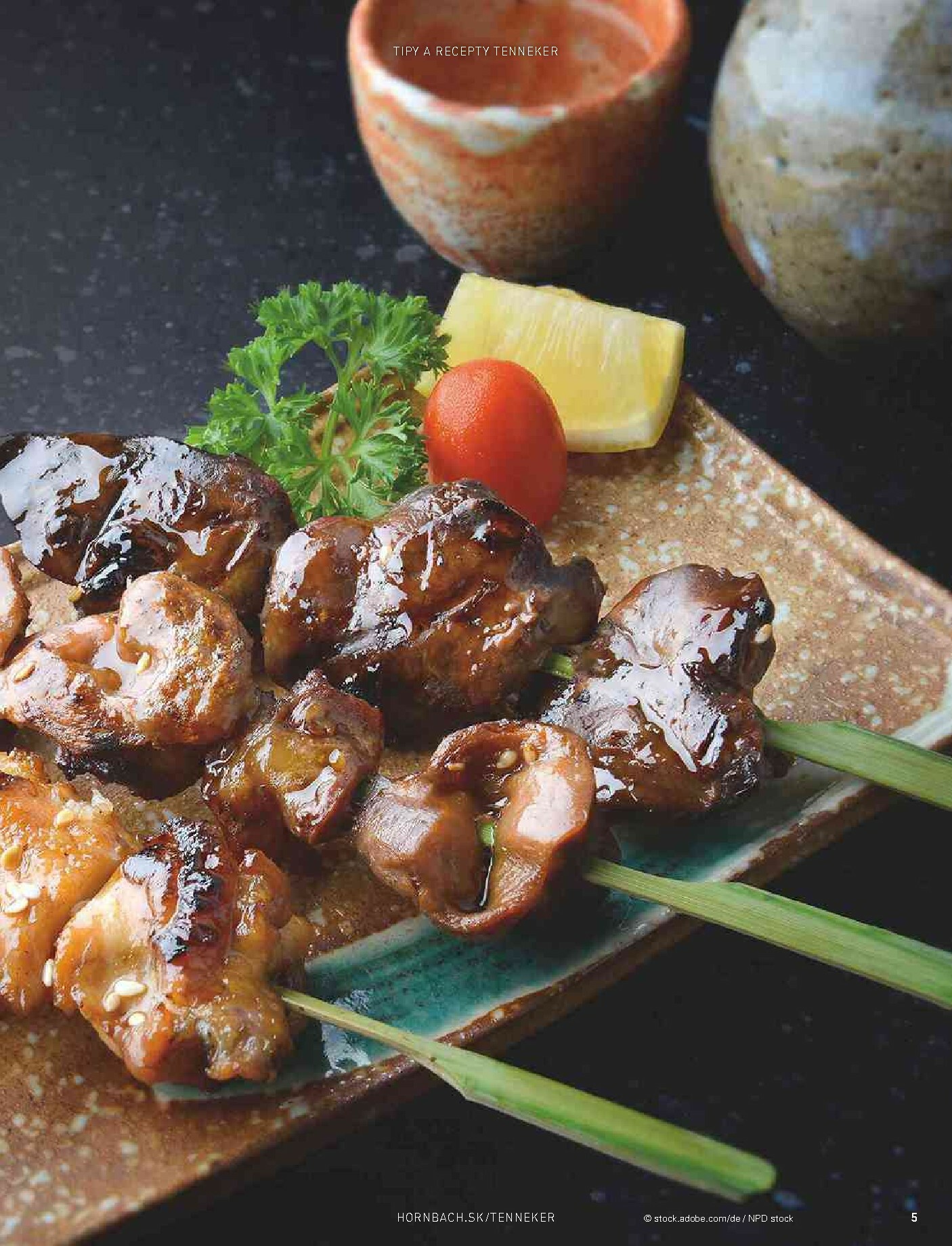 hornbach - Leták HORNBACH - TENNEKER - magazín o grilovaní platný od 01.11. do 31.08. - page: 5