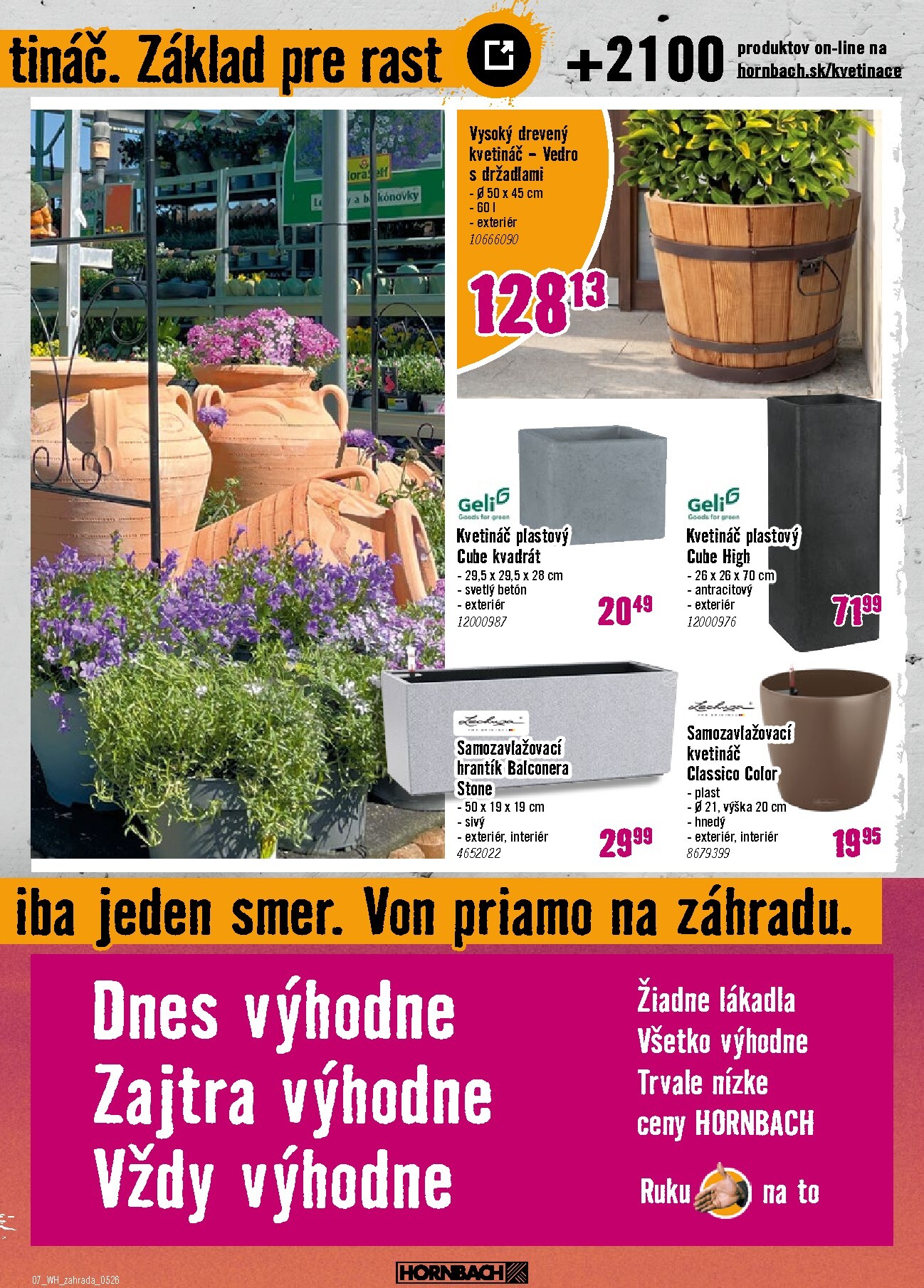 hornbach - Aktuálny leták HORNBACH - Trvalky od stredy, 06.05.2026 do stredy, 20.05.2026 - page: 7