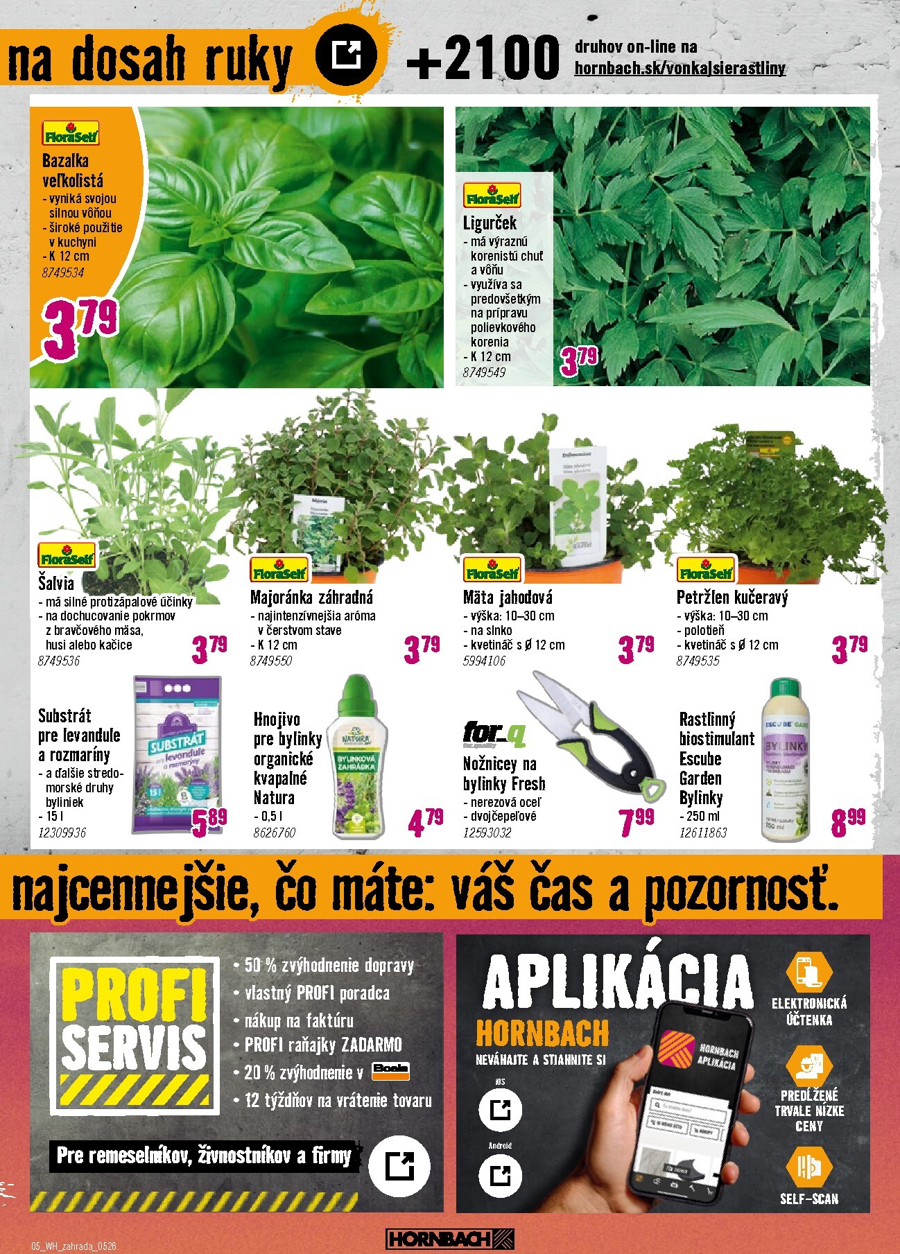 hornbach - Aktuálny leták HORNBACH - Trvalky od stredy, 06.05.2026 do stredy, 20.05.2026 - page: 5