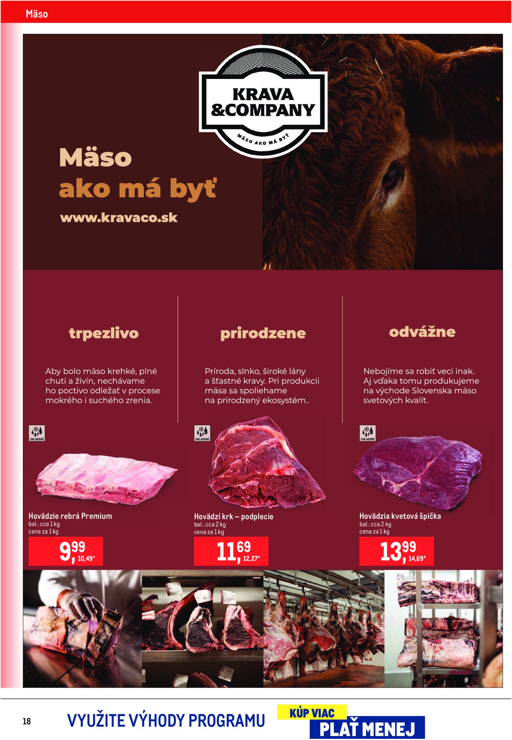 metro - Leták Metro - Gastronómia platný od 18.06. do 15.07. - page: 18