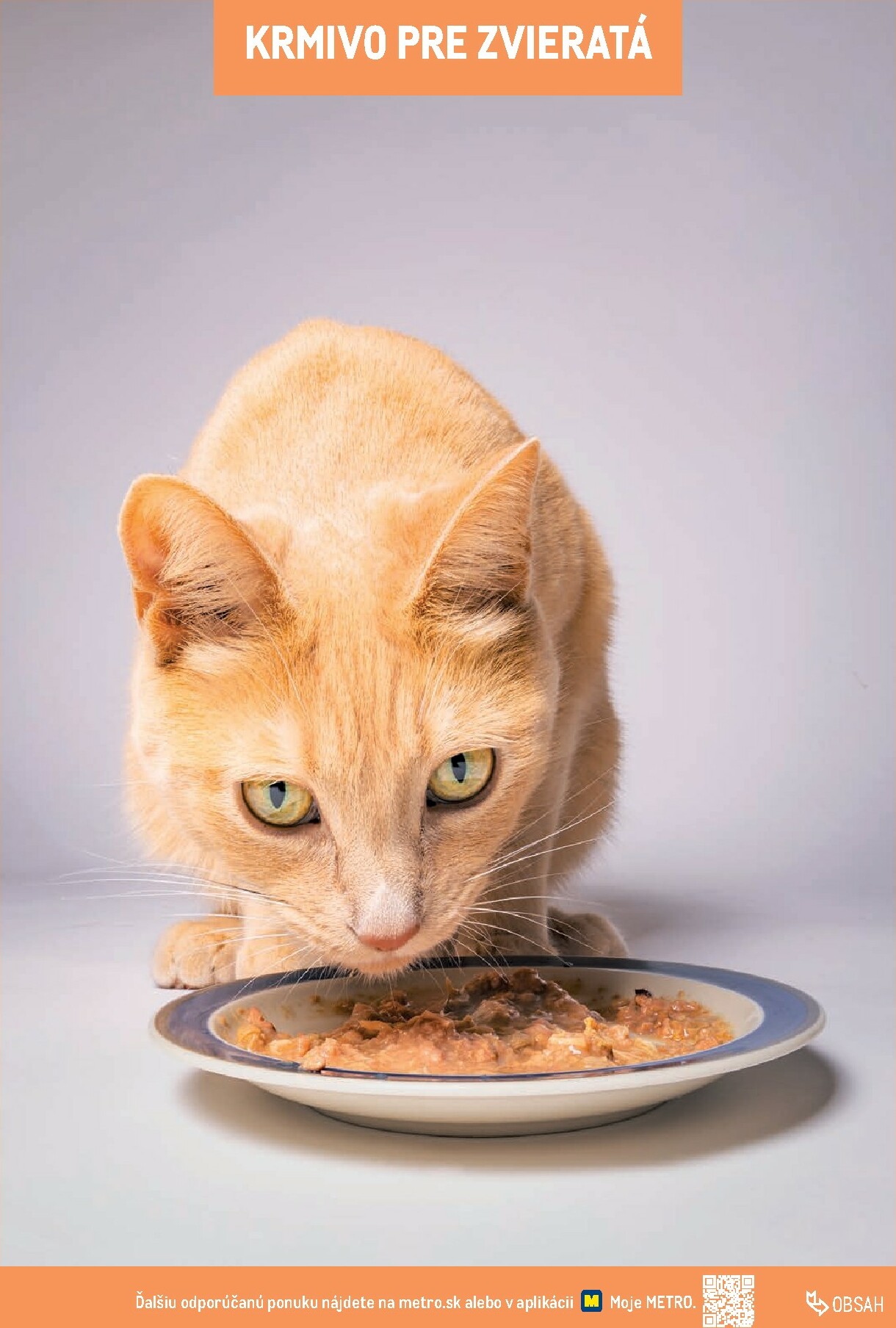 metro - Leták Metro - Katalóg vlastných značiek METRO platný od 21.11. do 21.11. - page: 219