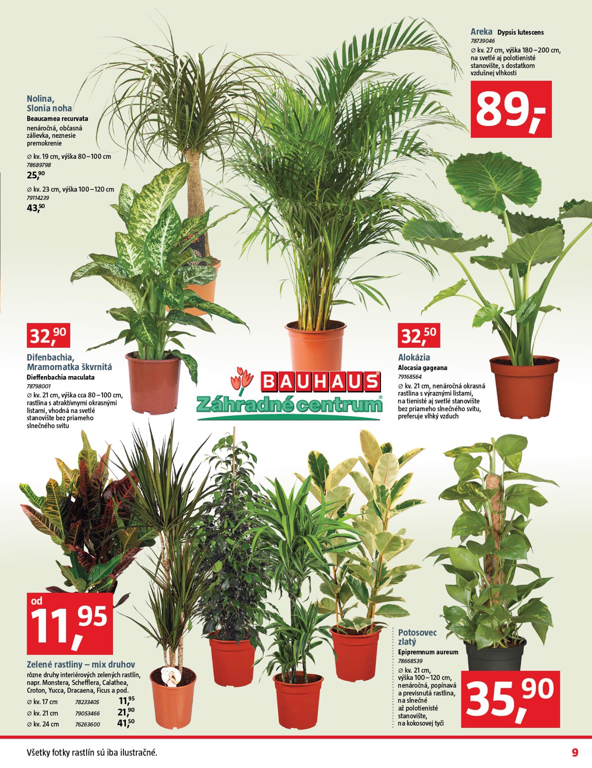 bauhaus - Leták Bauhaus platný od 12.01. do 08.02. - page: 9