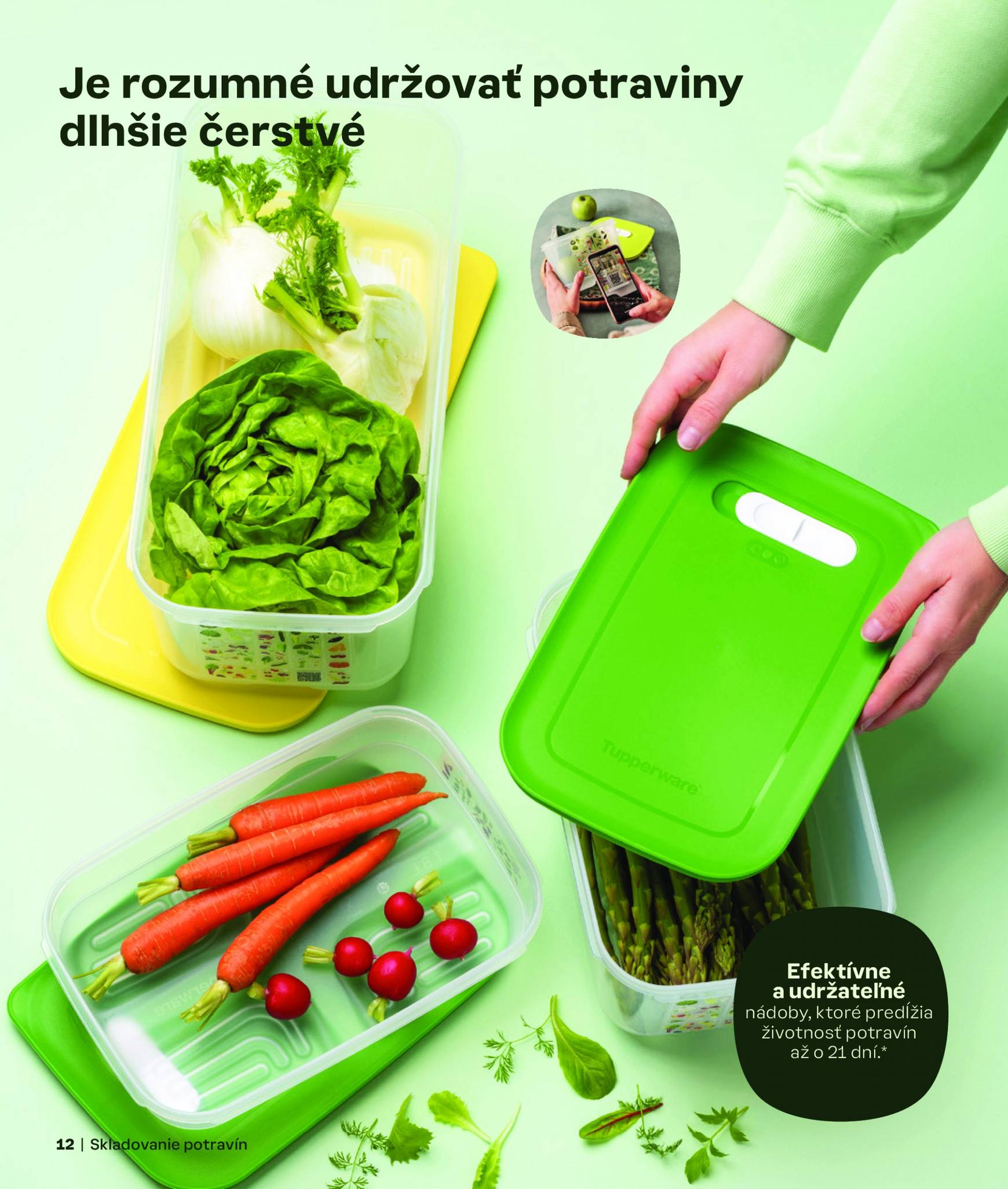 tupperware - Tupperware leták platný od 02.09. - 28.02. - page: 12