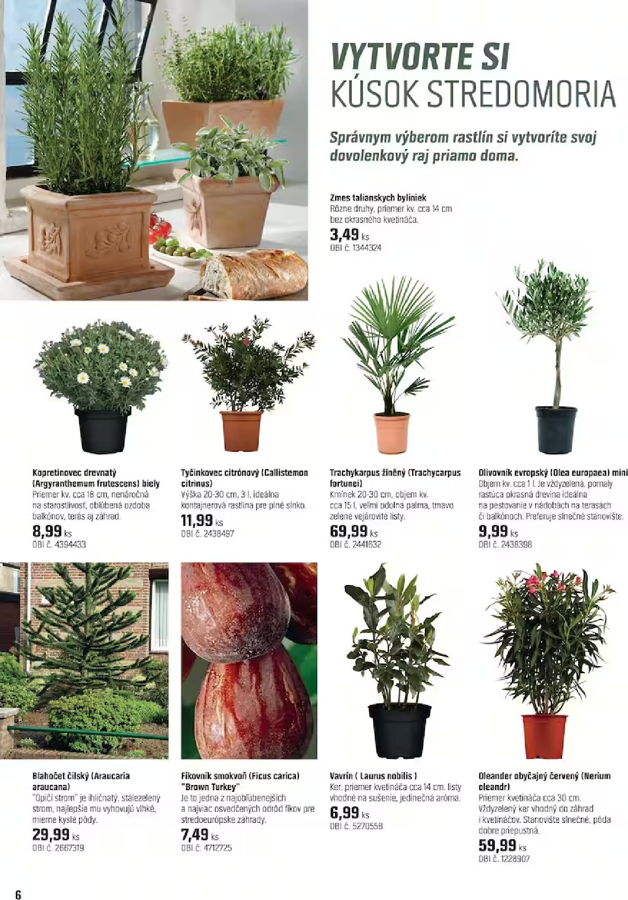 obi - Aktuálny leták OBI - Záhrada od stredy, 15.04.2026 do štvrtka, 14.05.2026 - page: 6