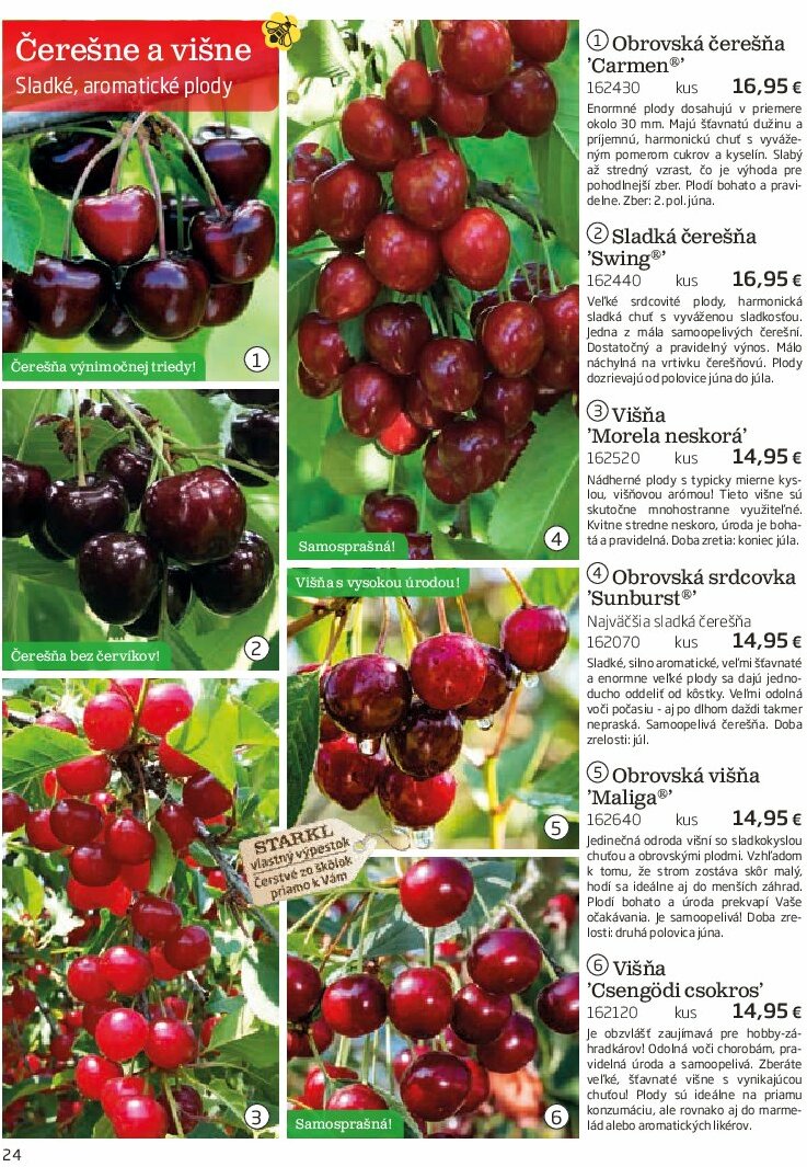 starkl - Leták Starkl platný od 01.08. do 31.10. - page: 24 starkl - Leták Starkl platný od 01.08. do 31.10. - page: 24
