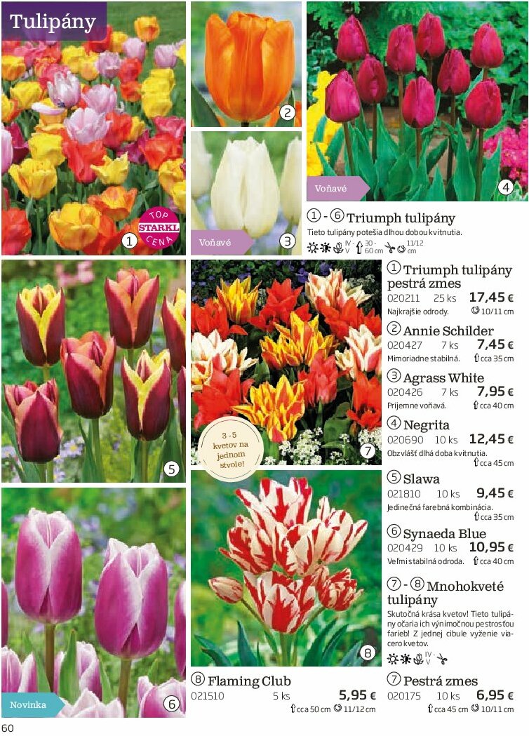 starkl - Leták Starkl platný od 01.08. do 31.10. - page: 60 starkl - Leták Starkl platný od 01.08. do 31.10. - page: 60