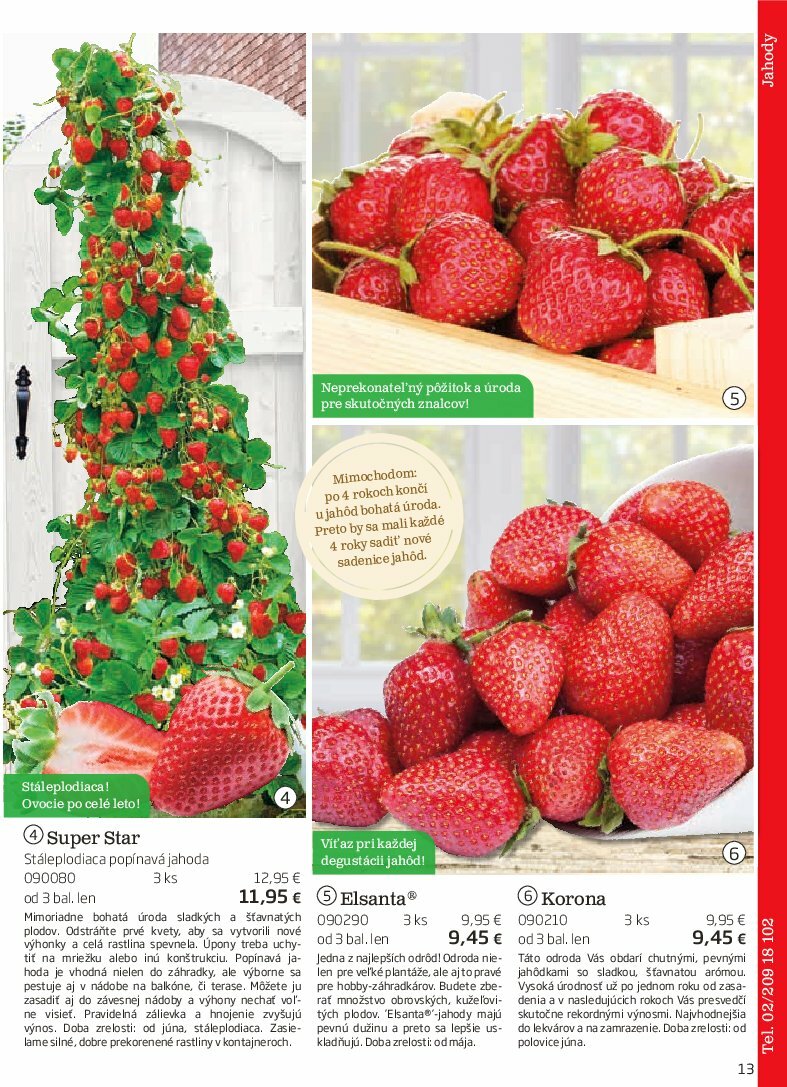 starkl - Leták Starkl platný od 01.08. do 31.10. - page: 13 starkl - Leták Starkl platný od 01.08. do 31.10. - page: 13