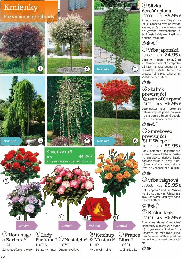 starkl - Leták Starkl platný od 01.08. do 31.10. - page: 36 starkl - Leták Starkl platný od 01.08. do 31.10. - page: 36