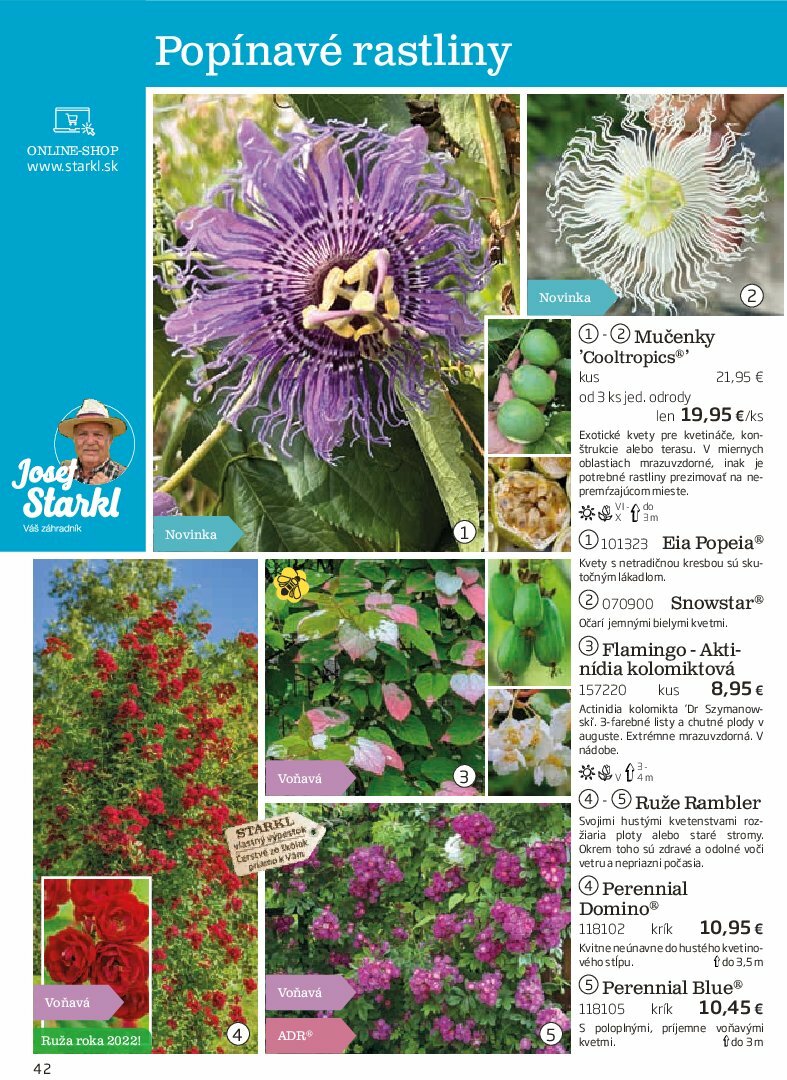 starkl - Leták Starkl platný od 01.08. do 31.10. - page: 42 starkl - Leták Starkl platný od 01.08. do 31.10. - page: 42