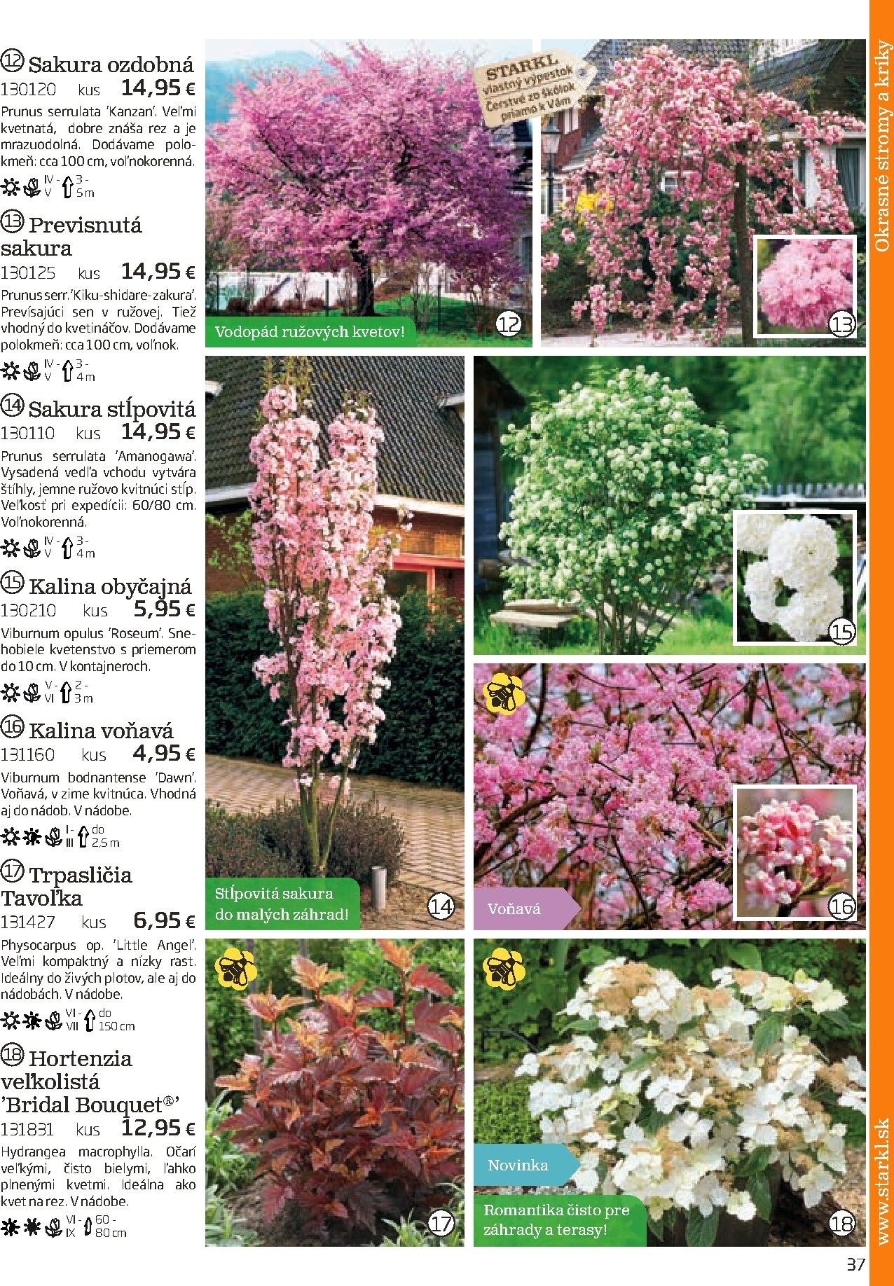 starkl - Leták Starkl platný od 01.03.2026 do 30.06.2026 - page: 37