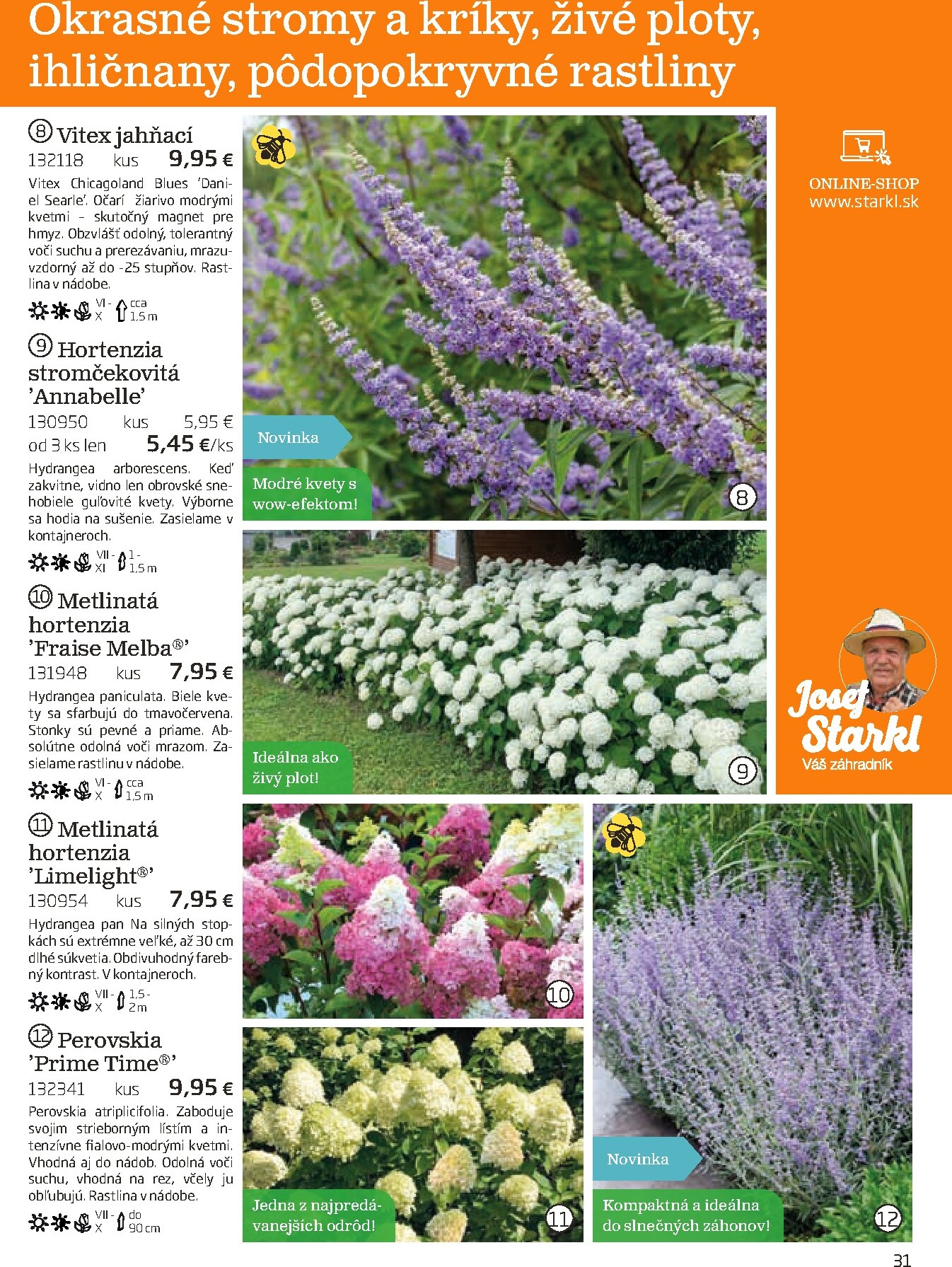 starkl - Leták Starkl platný od 01.03.2026 do 30.06.2026 - page: 31