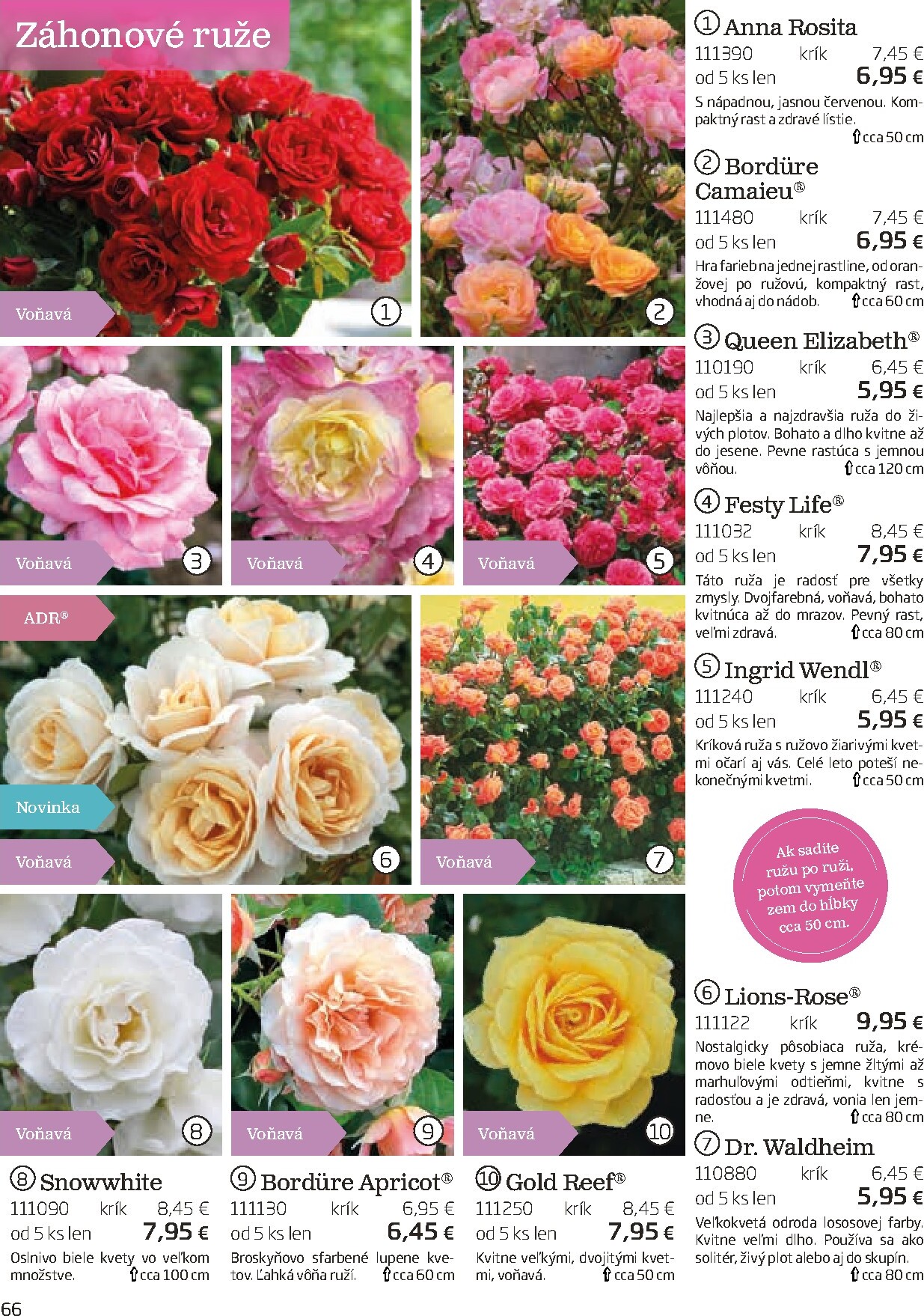 starkl - Leták Starkl platný od 01.03.2026 do 30.06.2026 - page: 67