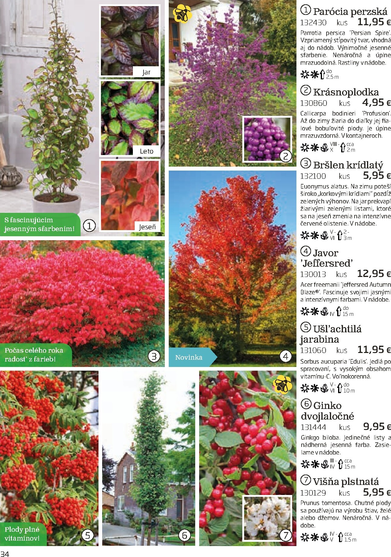 starkl - Leták Starkl platný od 01.03.2026 do 30.06.2026 - page: 34