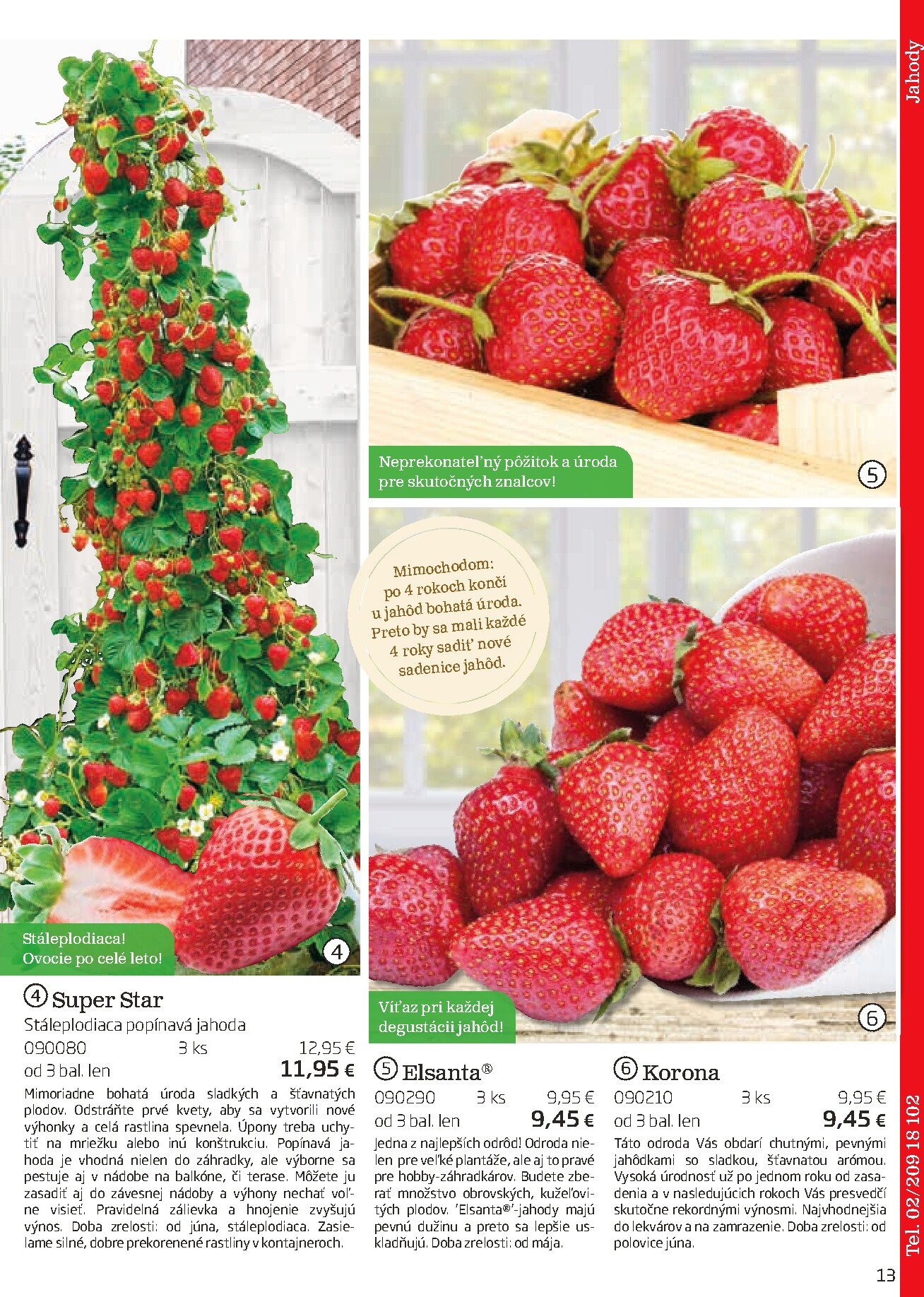 starkl - Leták Starkl platný od 01.03.2026 do 30.06.2026 - page: 13
