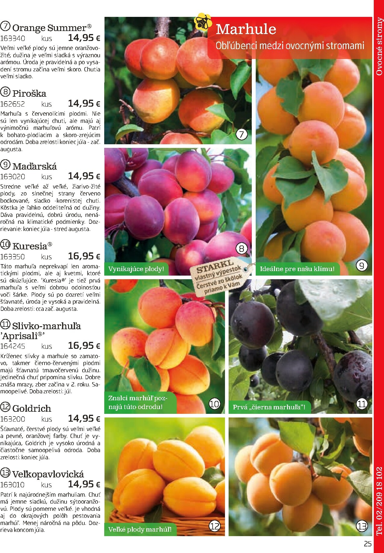 starkl - Leták Starkl platný od 01.03.2026 do 30.06.2026 - page: 25