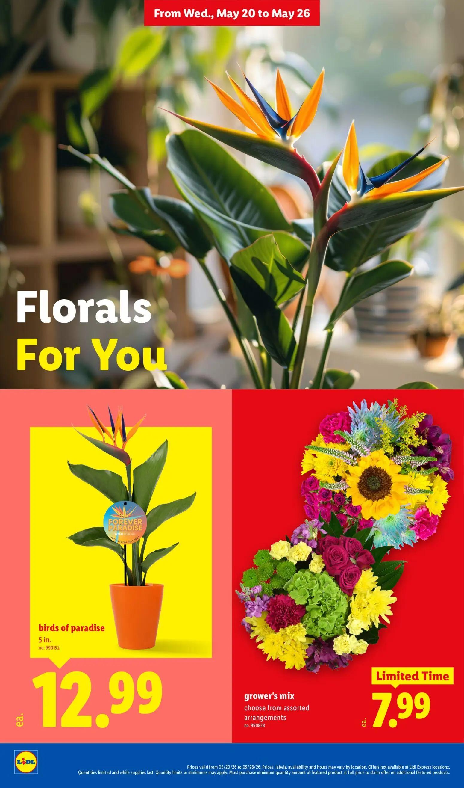 lidl - Lidl Weekly Ad - 05/20 - 05/26 2026 - page: 28