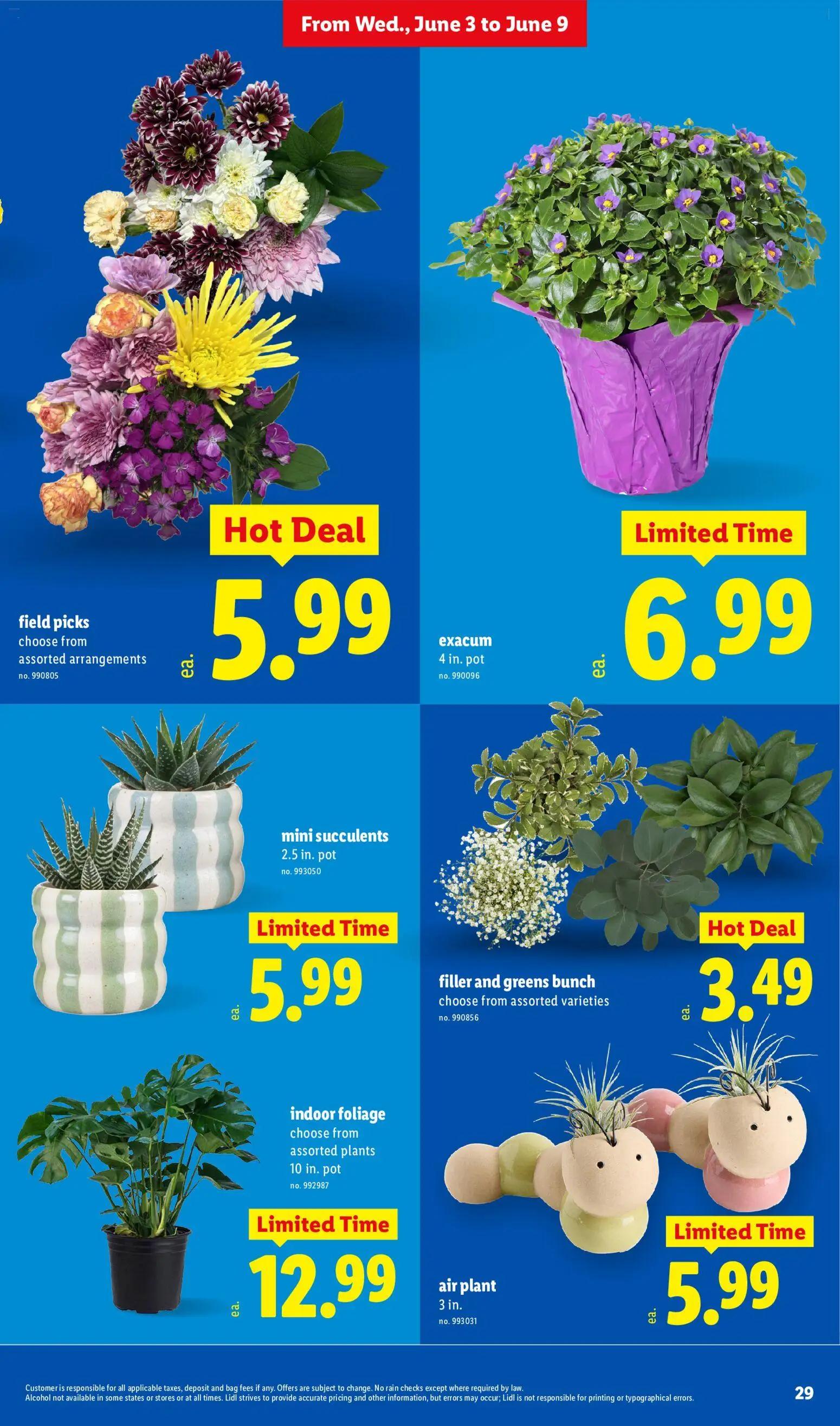 lidl - Lidl Weekly Ad - 06/03 - 06/09 2026 - page: 29