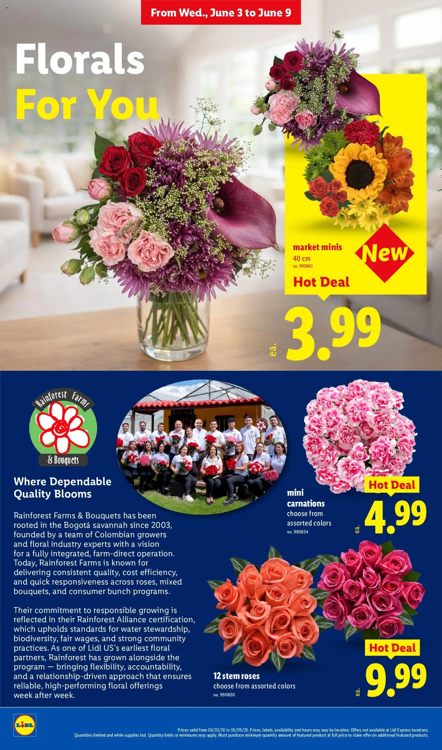 lidl - Lidl Weekly Ad - 06/03 - 06/09 2026 - page: 26