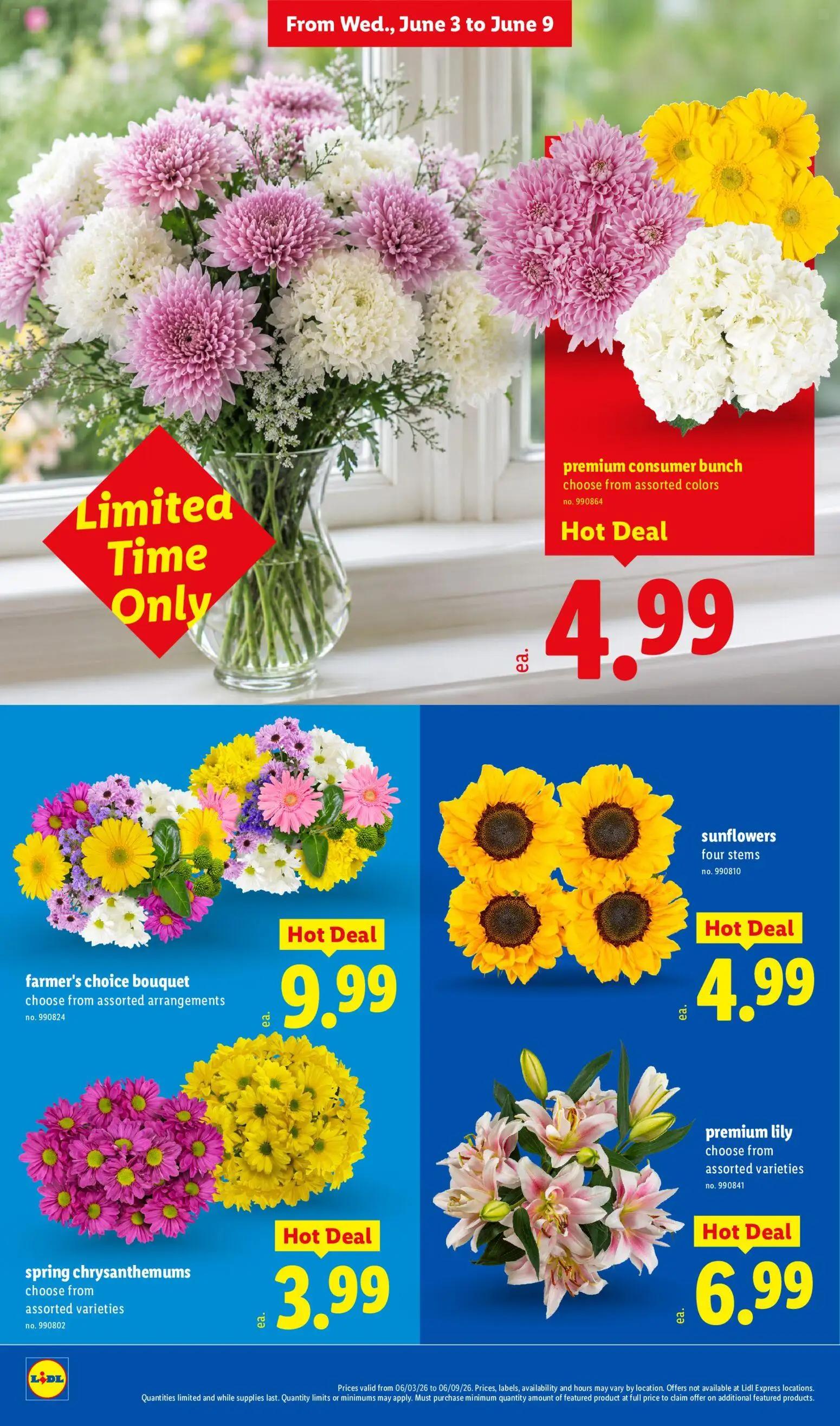 lidl - Lidl Weekly Ad - 06/03 - 06/09 2026 - page: 28