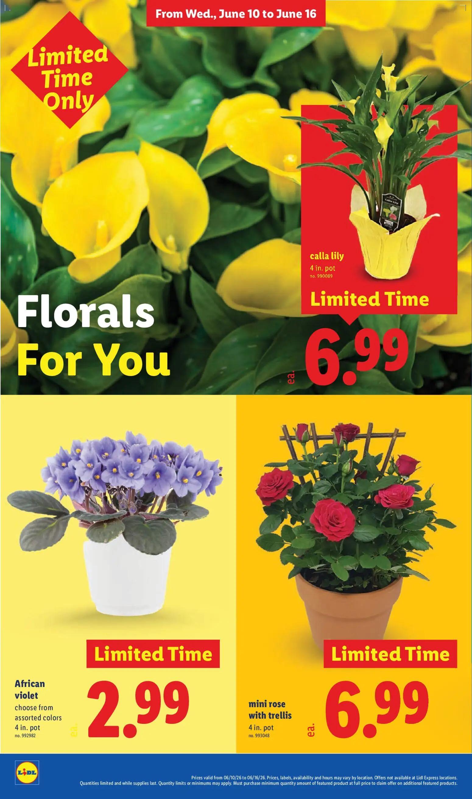 lidl - Lidl Weekly Ad - 06/10 - 06/16 2026 - page: 36