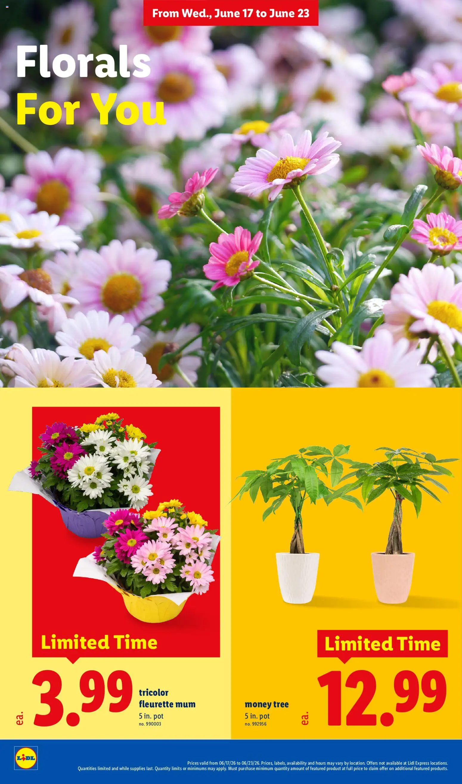 lidl - Lidl Weekly Ad - 06/17 - 06/23 2026 - page: 30