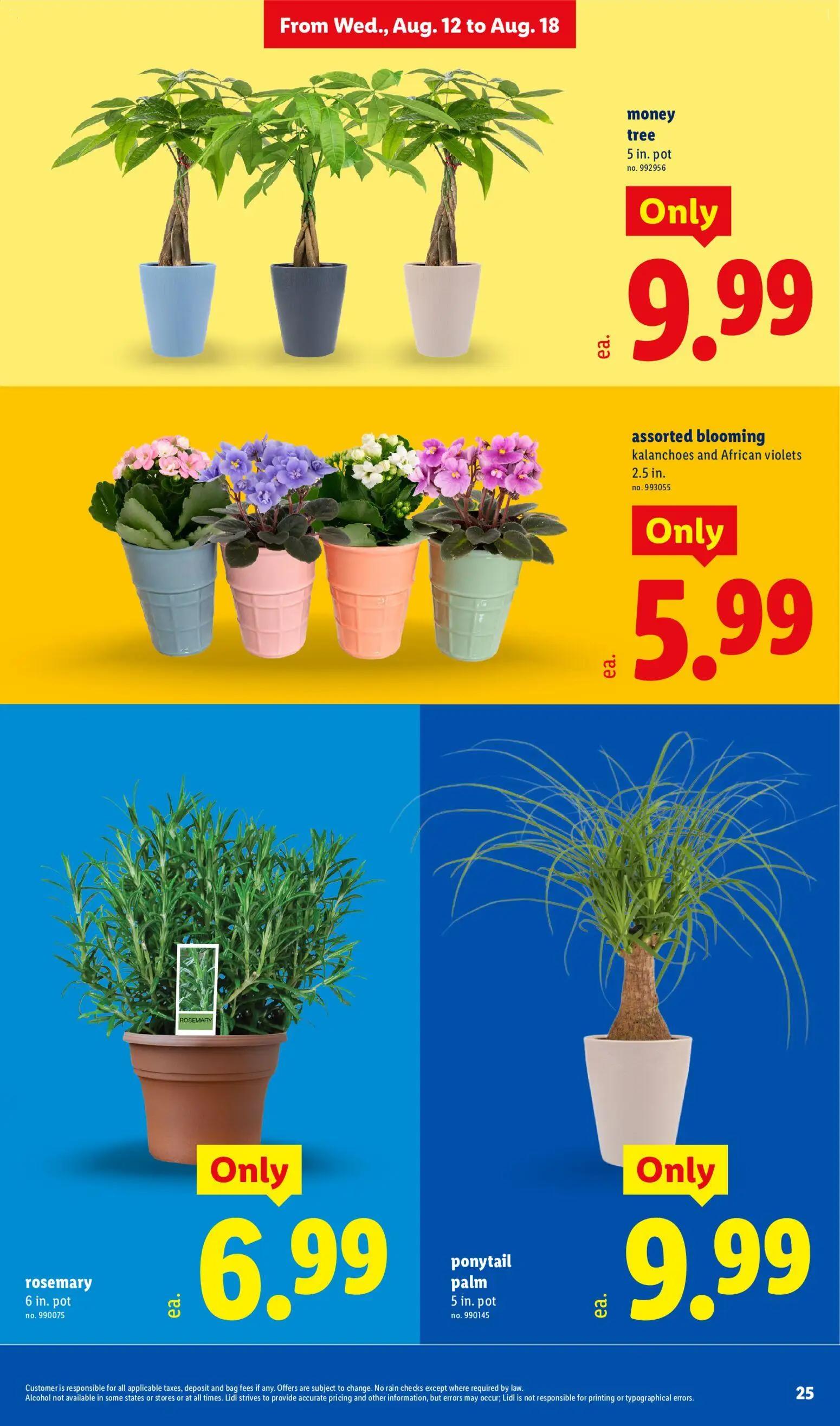 lidl - Lidl Weekly Ad - 08/12 - 08/18 2026 - page: 25