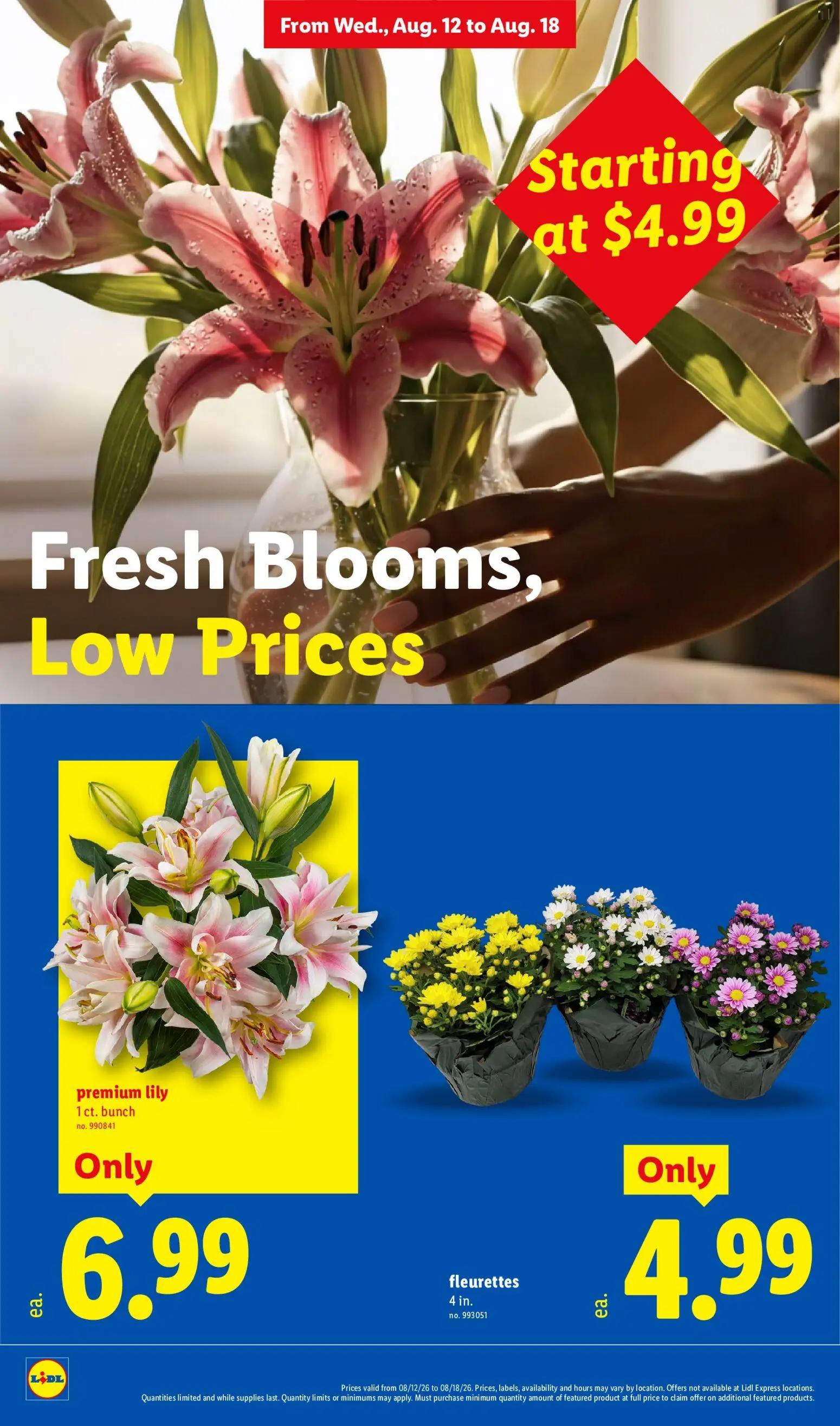 lidl - Lidl Weekly Ad - 08/12 - 08/18 2026 - page: 24
