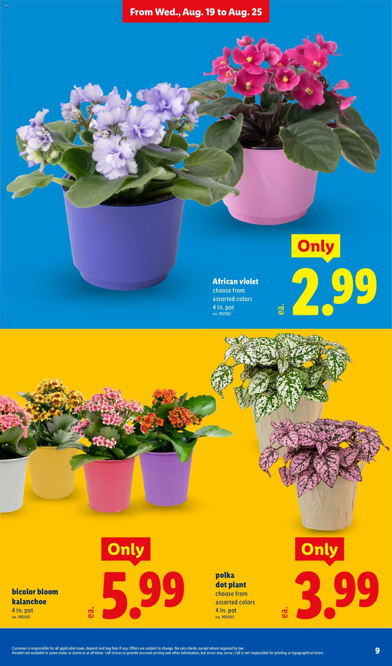 lidl - Lidl Weekly Ad - 08/19 - 08/25 2026 - page: 9