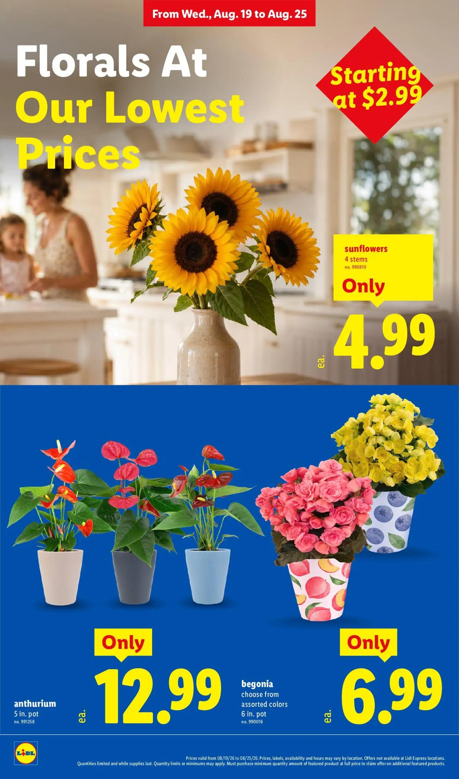 lidl - Lidl Weekly Ad - 08/19 - 08/25 2026 - page: 8