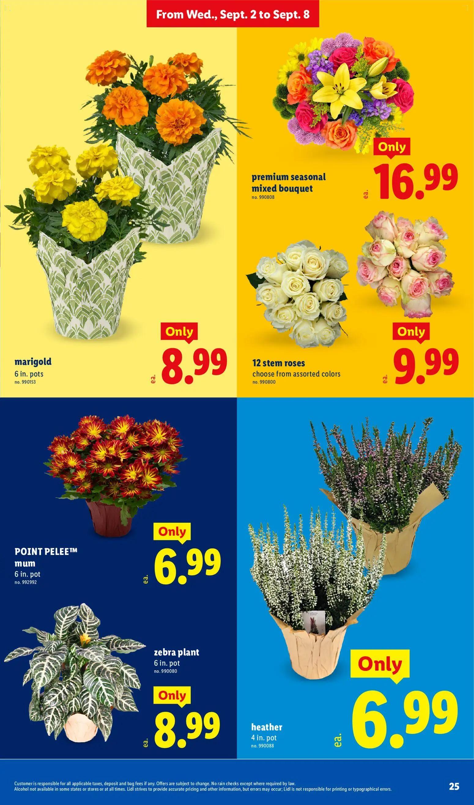 lidl - Lidl Weekly Ad - 09/02 - 09/08 2026 - page: 25