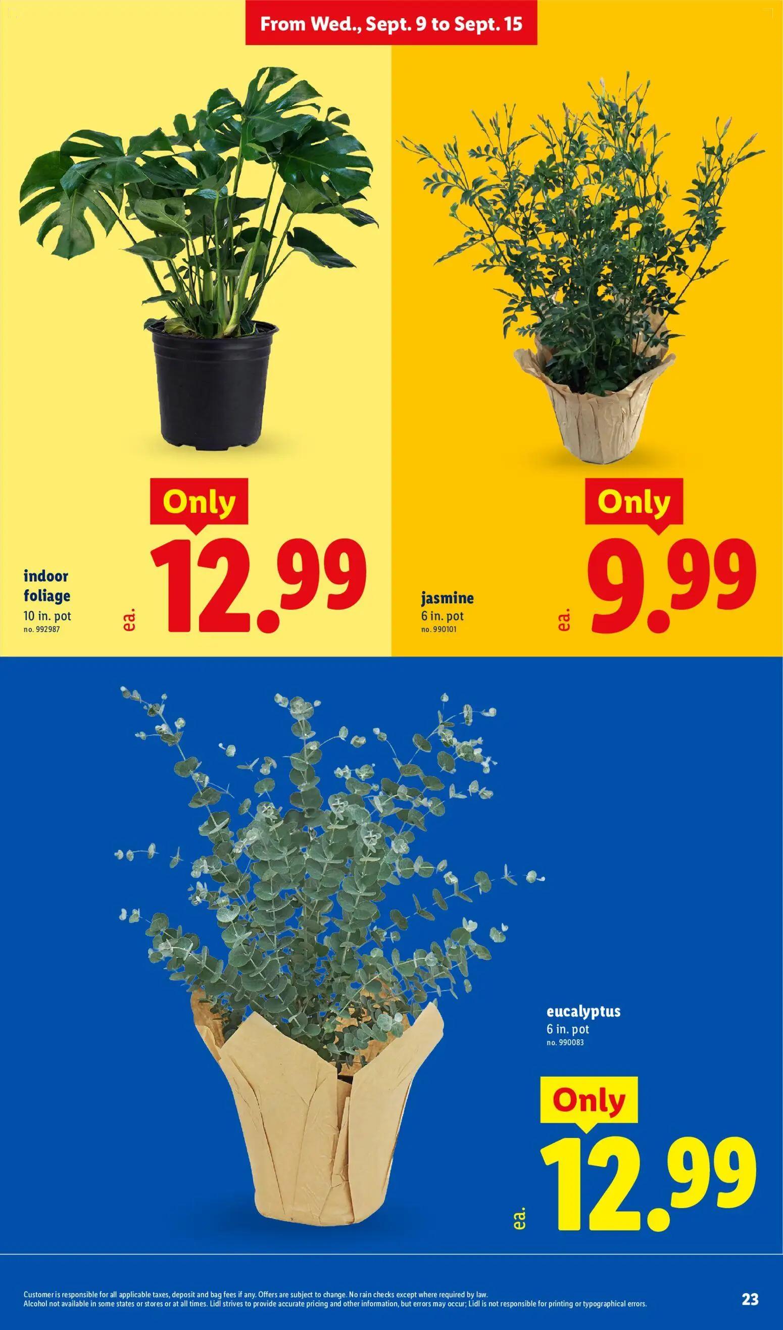 lidl - Lidl Weekly Ad - 09/09 - 09/15 2026 - page: 23