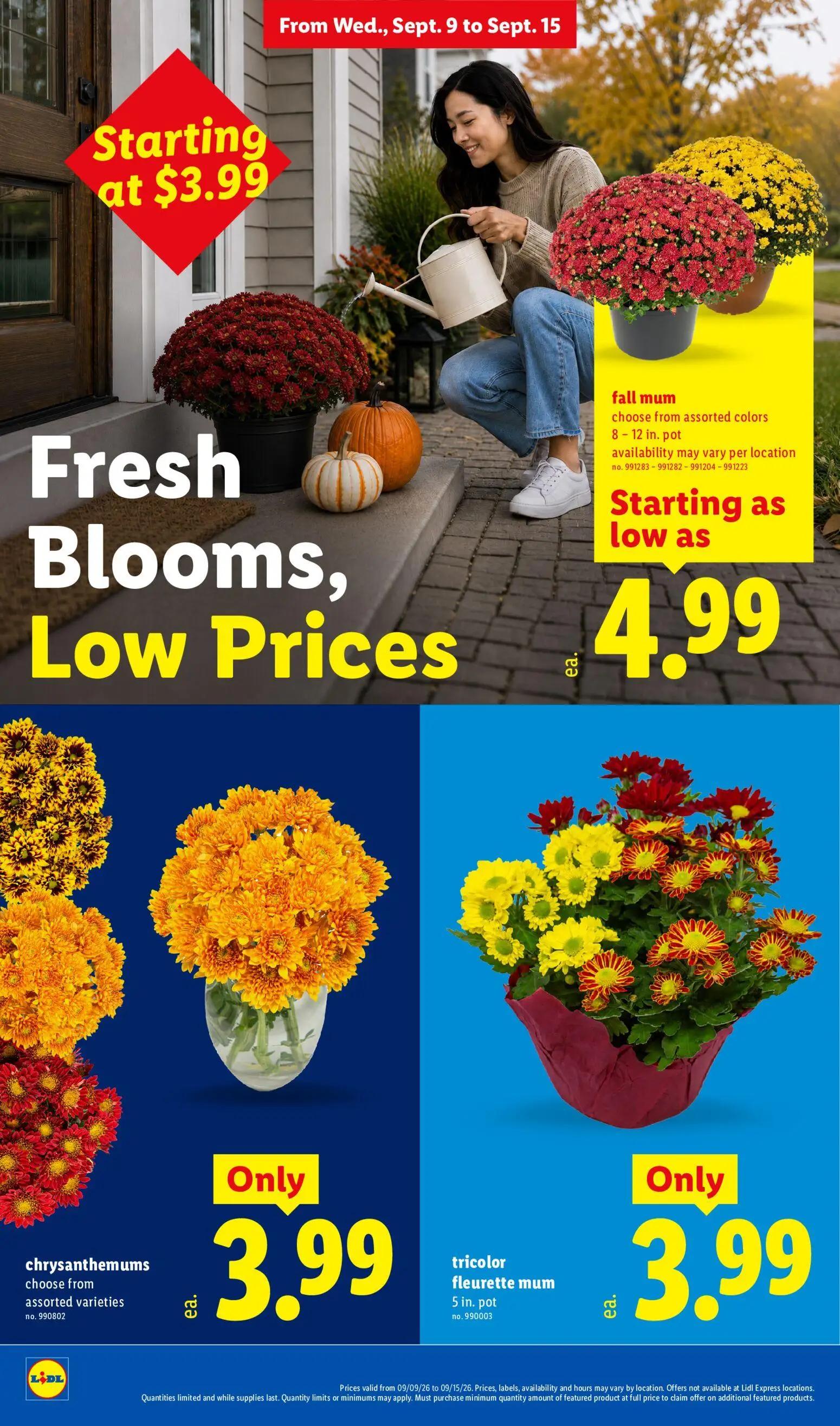 lidl - Lidl Weekly Ad - 09/09 - 09/15 2026 - page: 22