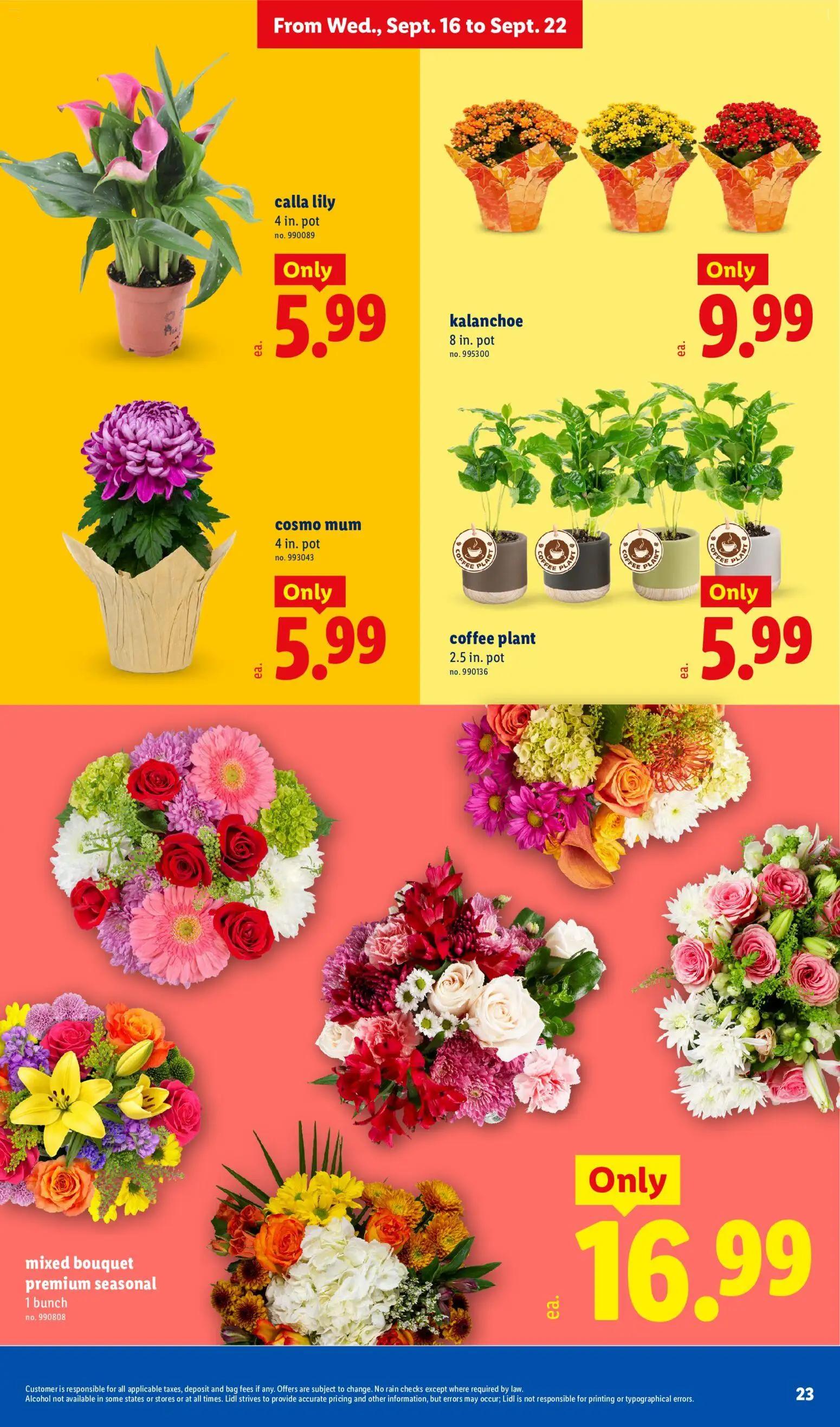 lidl - Lidl Weekly Ad - 09/16 - 09/22 2026 - page: 23