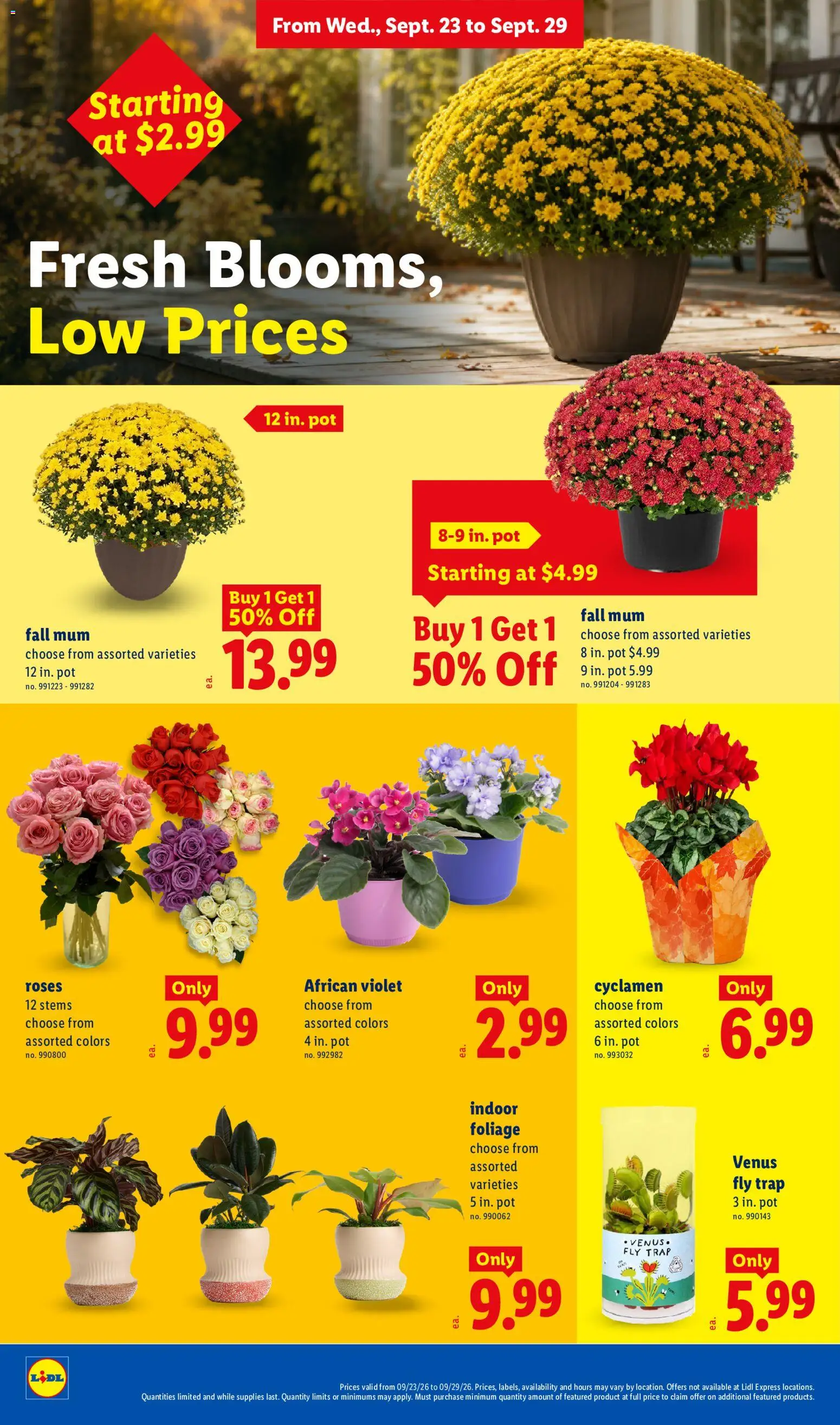 lidl - Lidl Weekly Ad - 09/23 - 09/29 2026 - page: 22