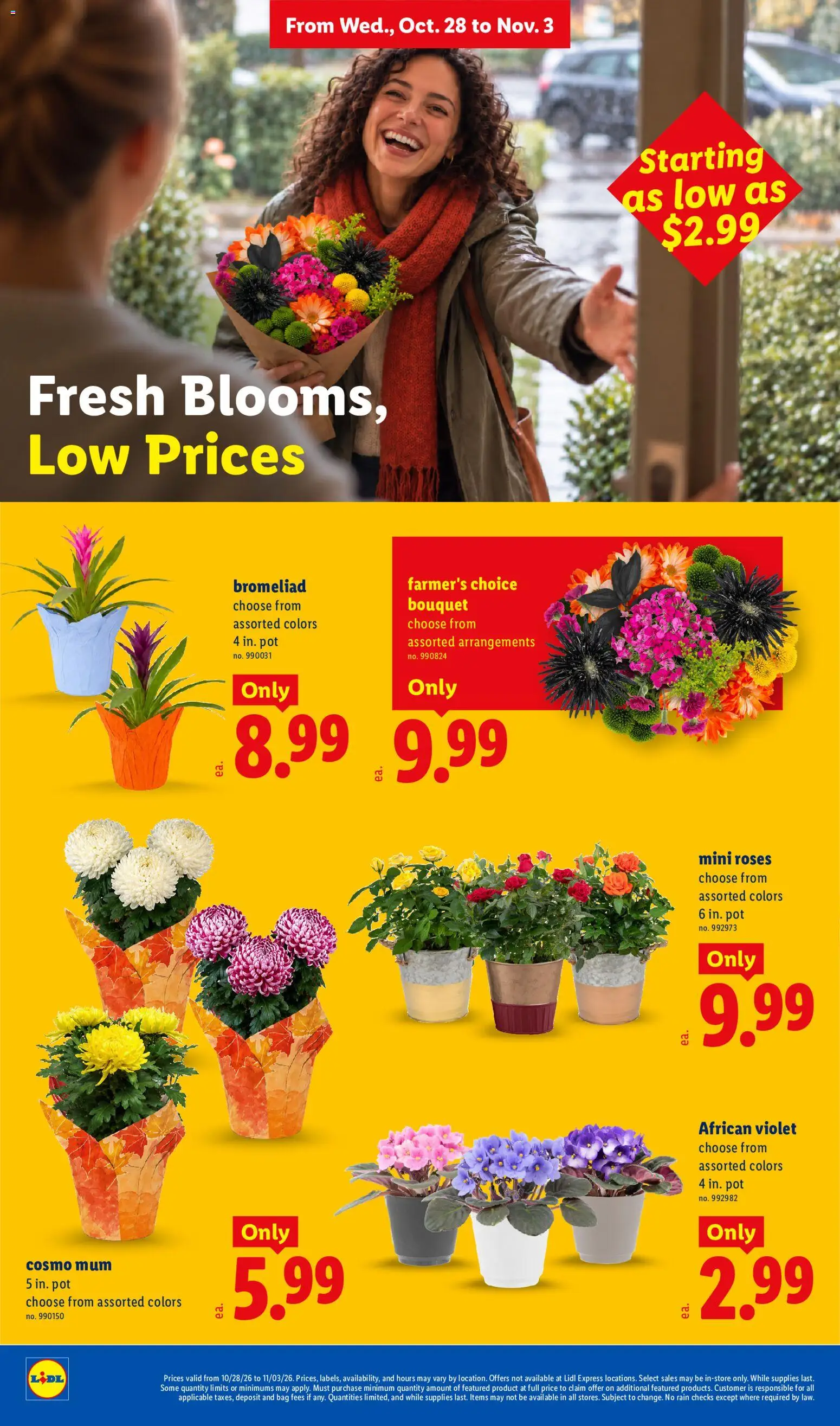 lidl - Lidl Weekly Ad - 10/28 - 11/03 2026 - page: 18