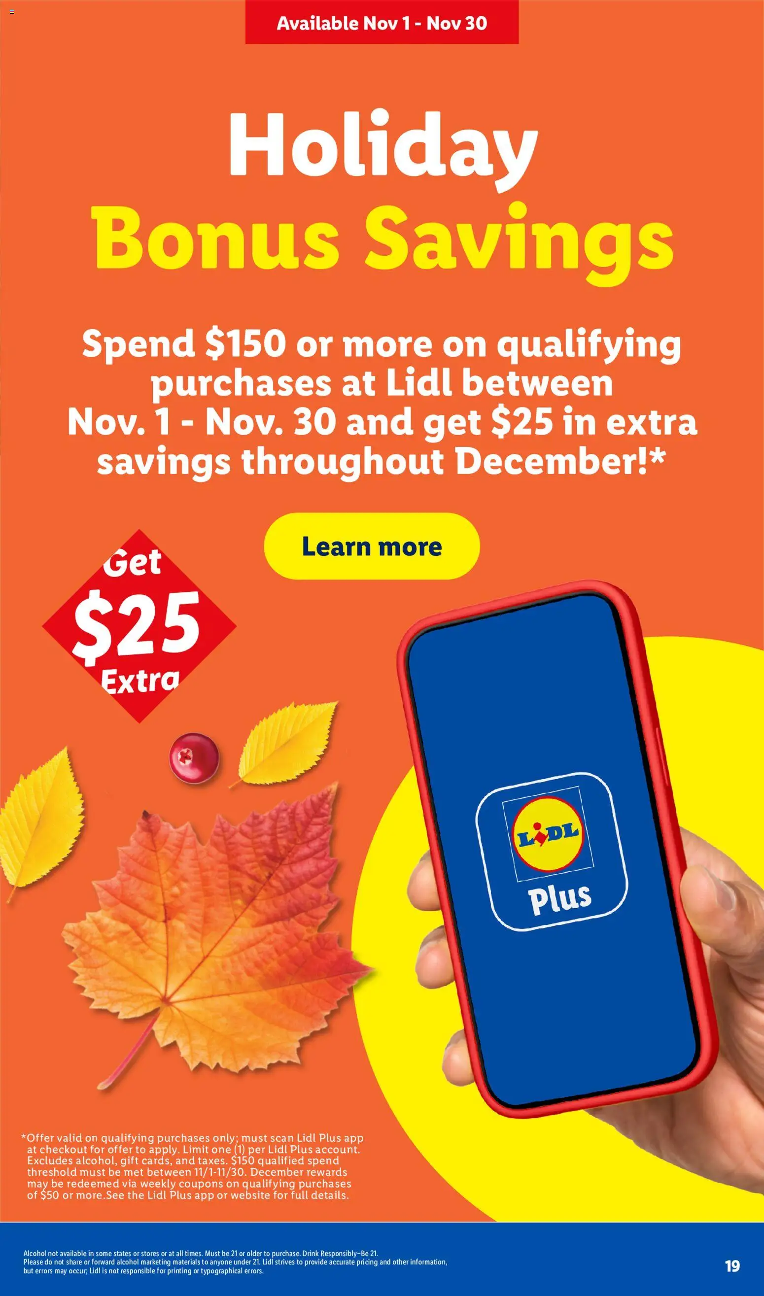 lidl - Lidl Weekly Ad - 10/28 - 11/03 2026 - page: 19