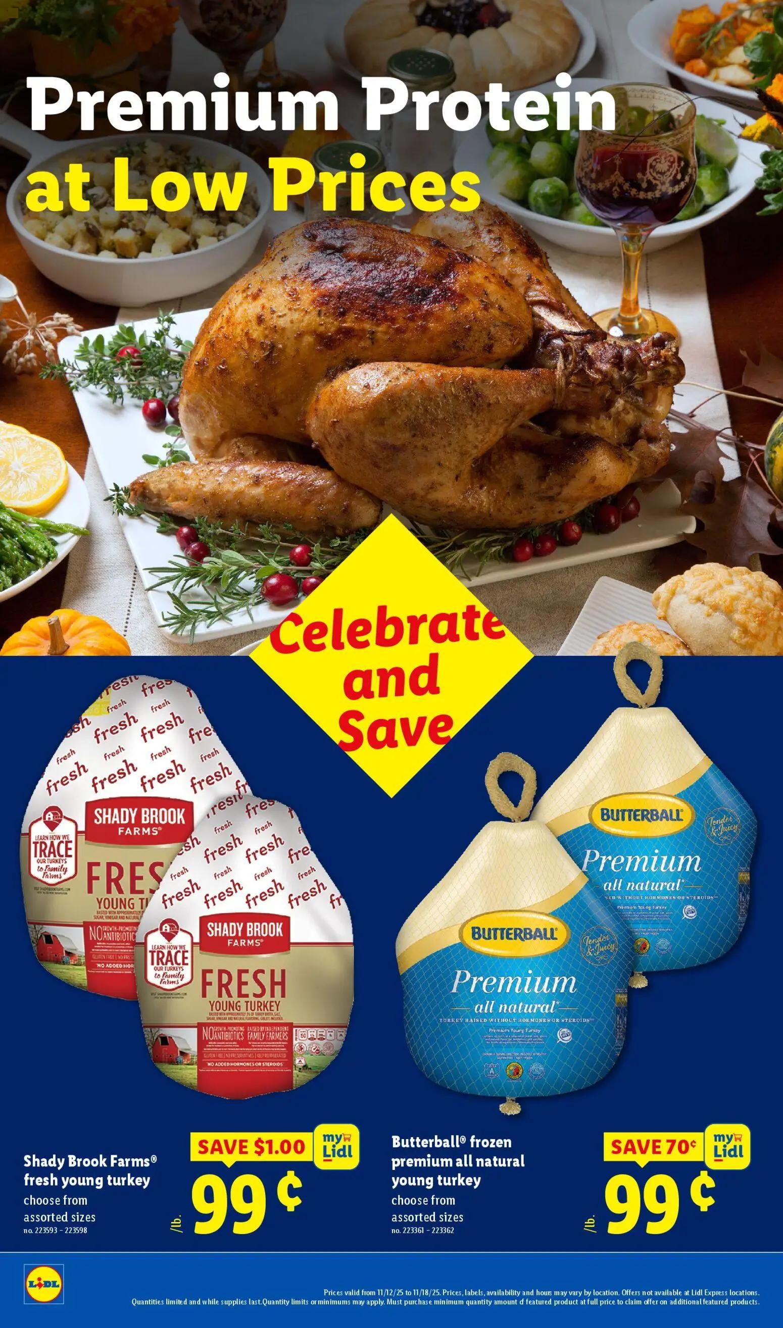 lidl - Weekly ads Lidl BLACK FRIDAY from 11/12/2025 - page: 2