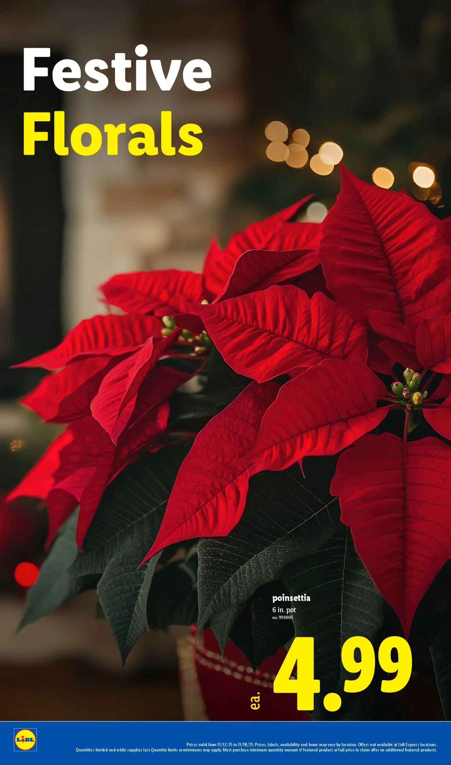 lidl - Weekly ads Lidl BLACK FRIDAY from 11/12/2025 - page: 28