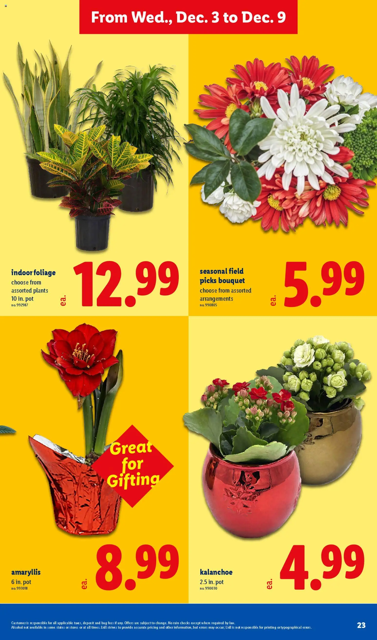 lidl - Lidl Weekly Ad - 12/03 - 12/09 2025 - page: 23