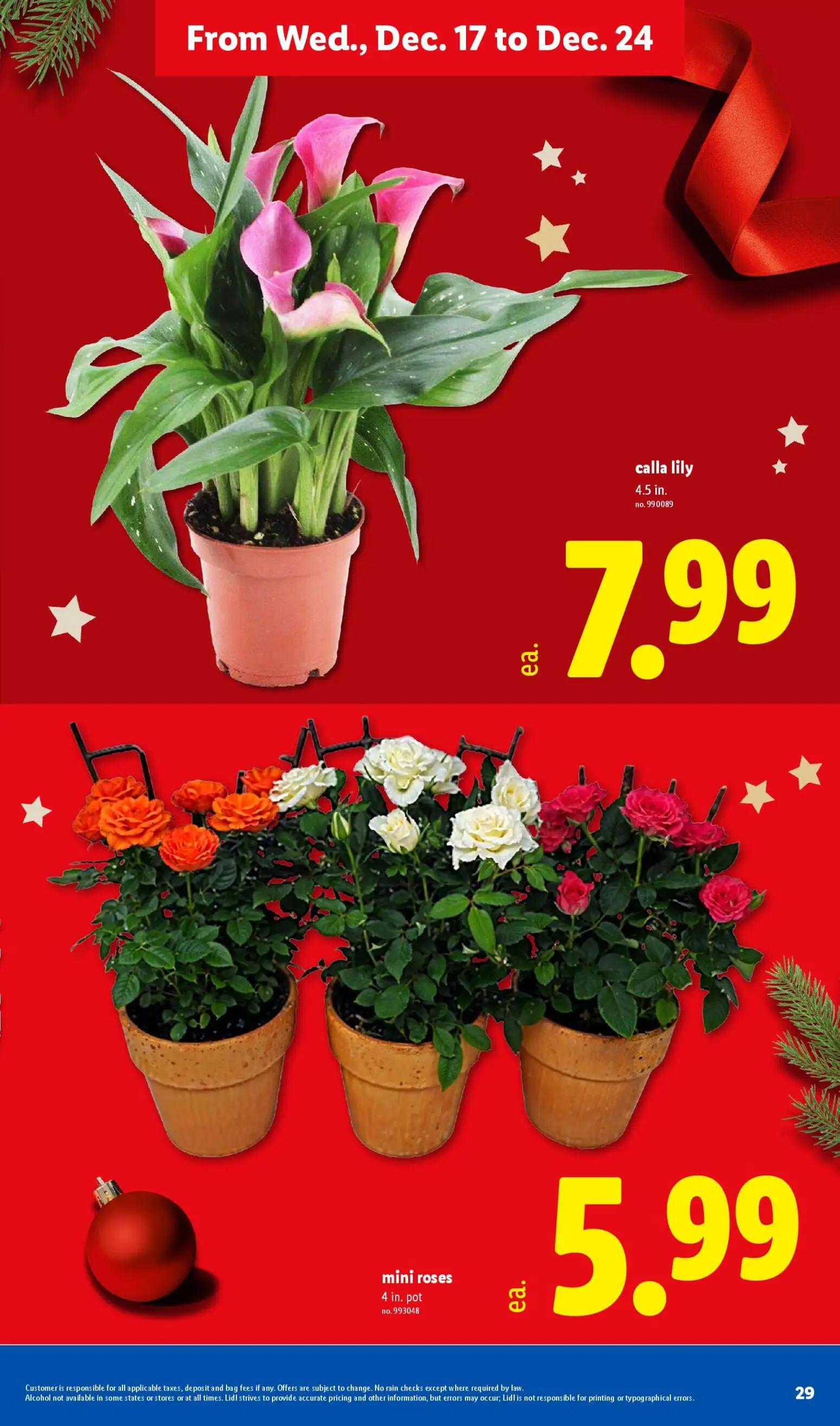 lidl - Lidl Weekly Ad - 12/17 - 12/24 2025 - page: 29